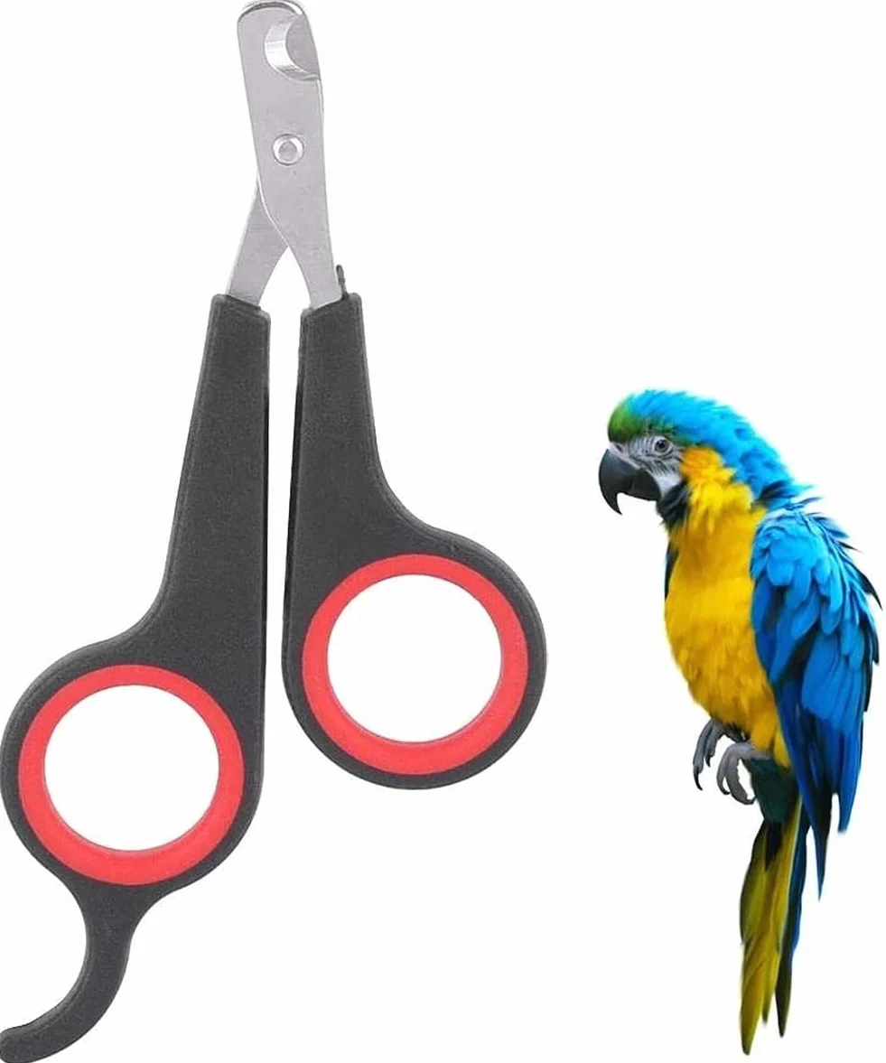 Ciseaux à Ongles pour Animaux de Compagnie Chien Chat Coupe-Ongles Oiseau Perroquet Griffe Tondeuse Professionnel