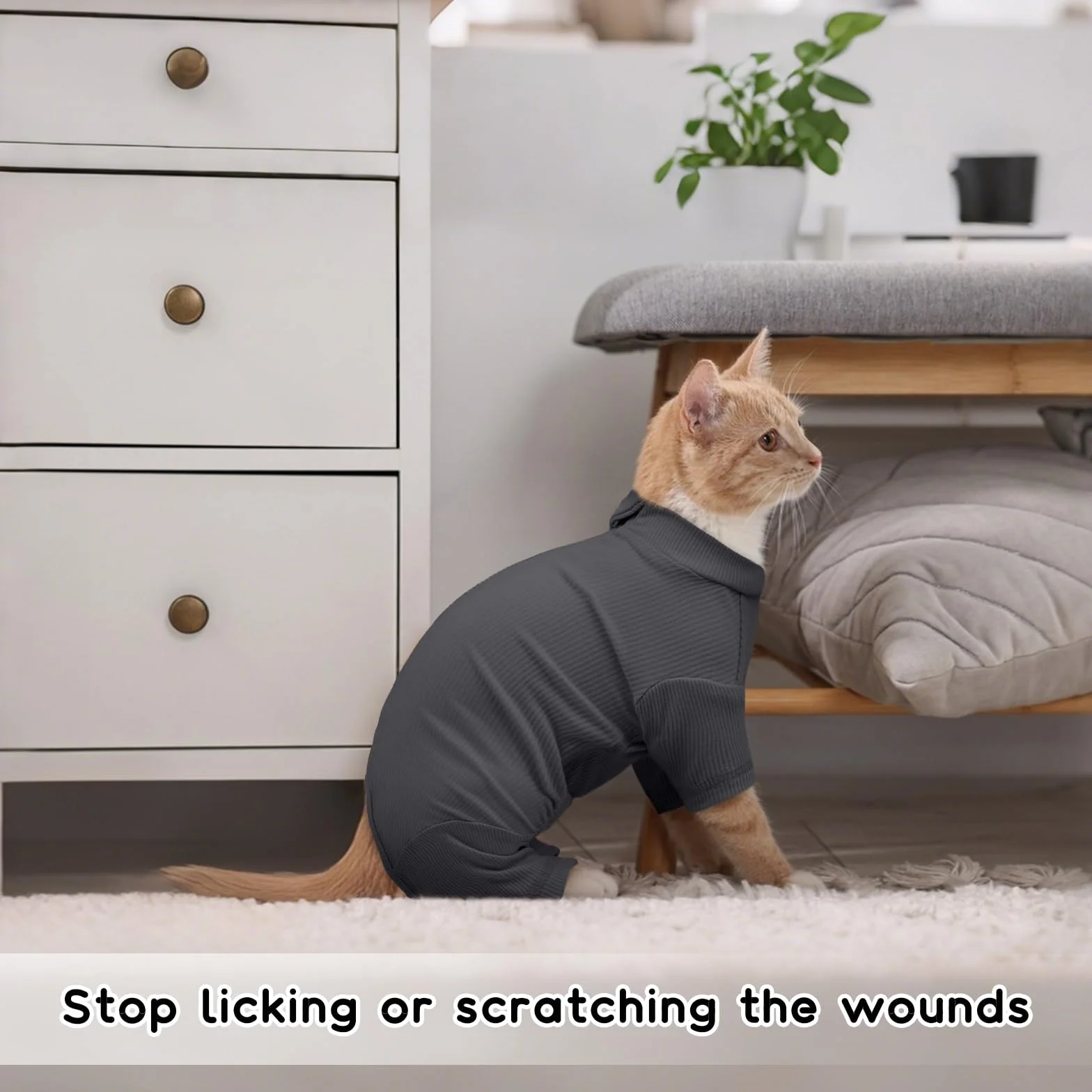 Vêtements pour Chat Pull à Manches Longues Manteau d'hiver Boby Recuperation Anti-Lécher Gris Foncé M
