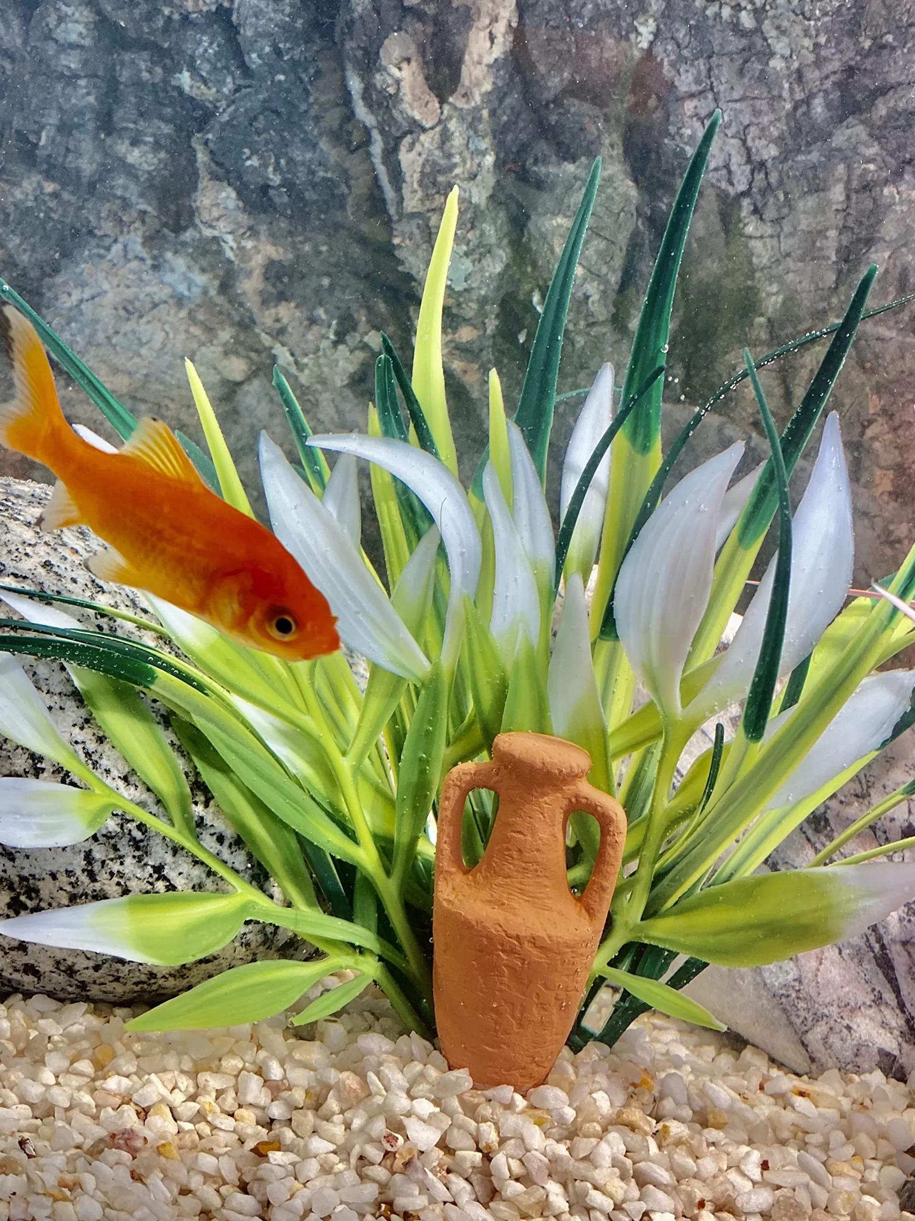 Tyrol Plante d'Aquarium Décoration Amphore Poisson Ancrage Facile Fabriquée en France