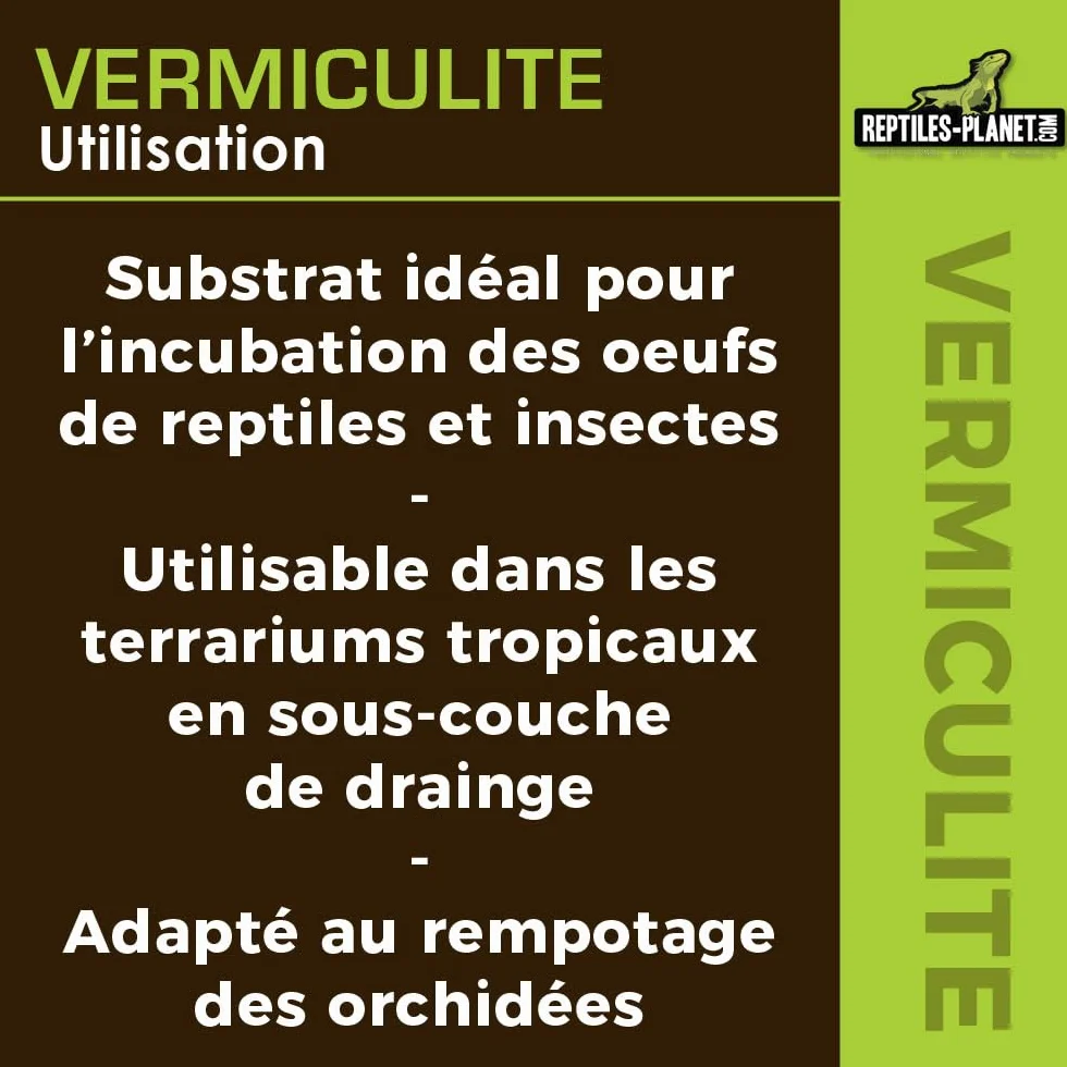 Reptiles Planet Vermiculite Substrat d'Incubation pour Reptiles 0,3-4 mm 6 Litres