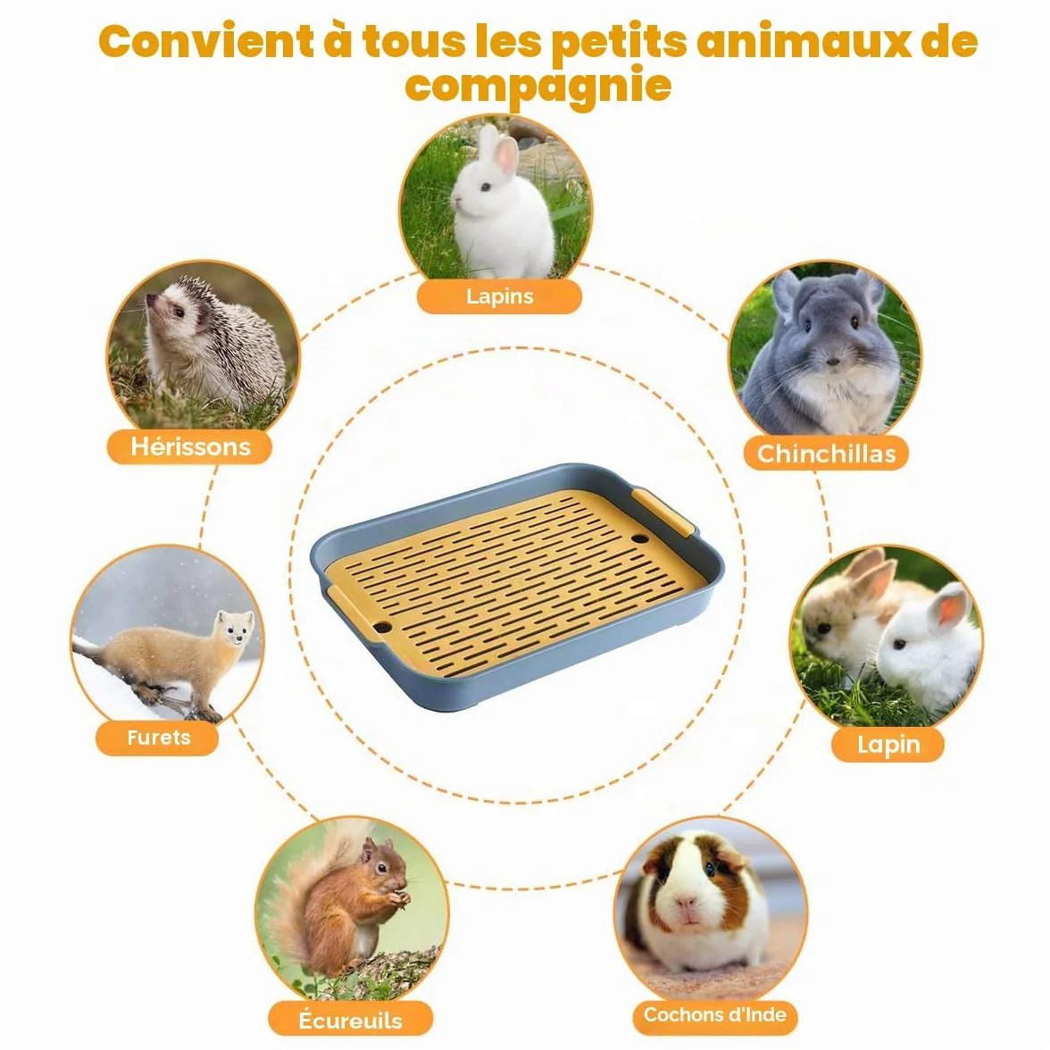 Bac Litière Rectangle pour Lapin, Hamster, Cochon d'Inde 27x18.5x4 cm Plateau avec Grille