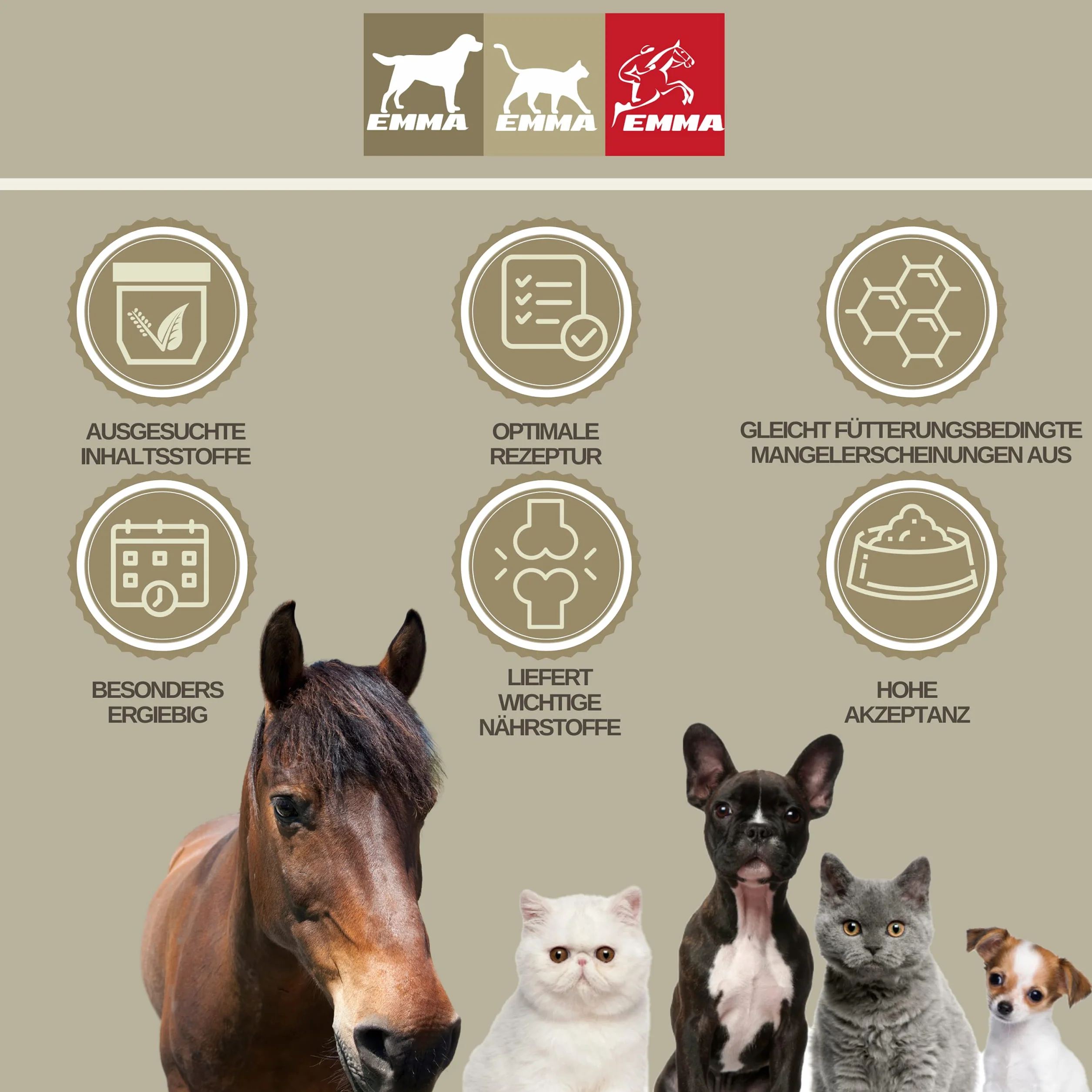 Soin de la fourchette pour chevaux I Protection de la fourchette Soin du sabot I Sabot, fourchette, semelle I Gel de fourchette I Prévention de la pourriture de la fourchette I contre l'humidité 100ml