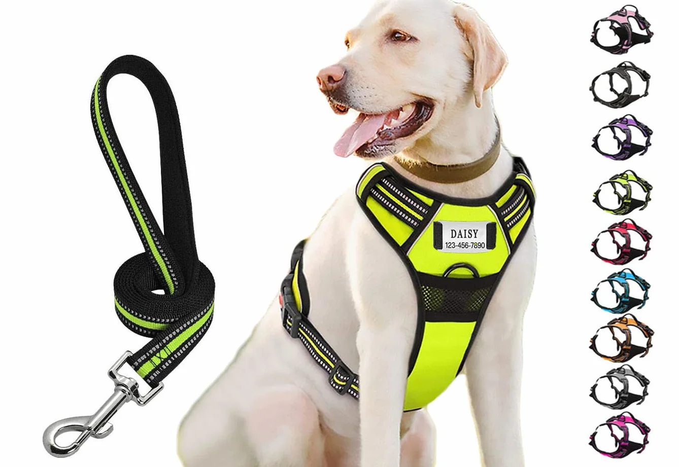 Harnais personnalisé pour chien sans traction avec nom et téléphone, résistant anti-traction anti-étouffement