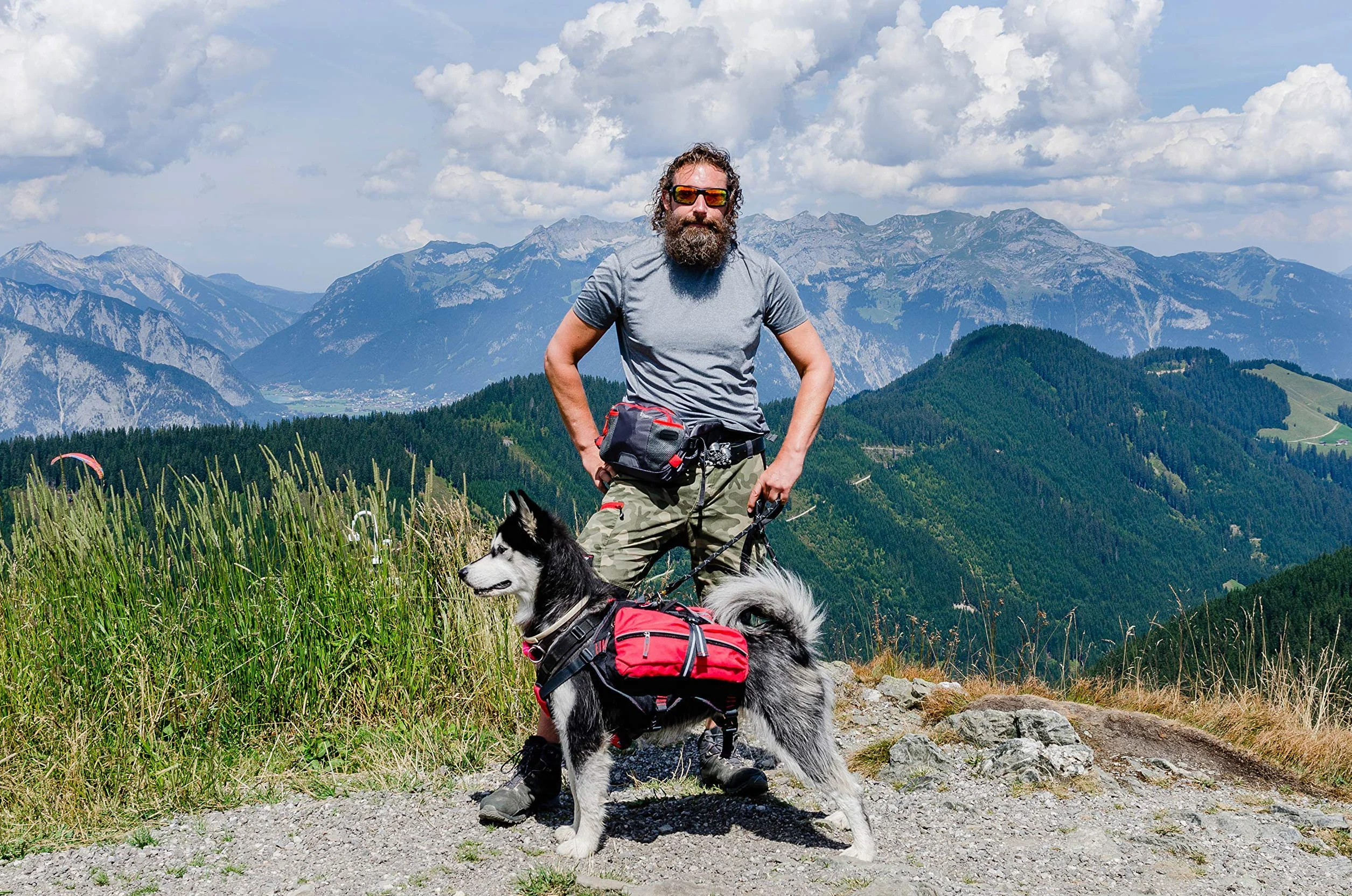 iEnergy Mal Sac à Dos pour Chien Rembourré Résistant aux Intempéries Randonnée Voyage Taille M