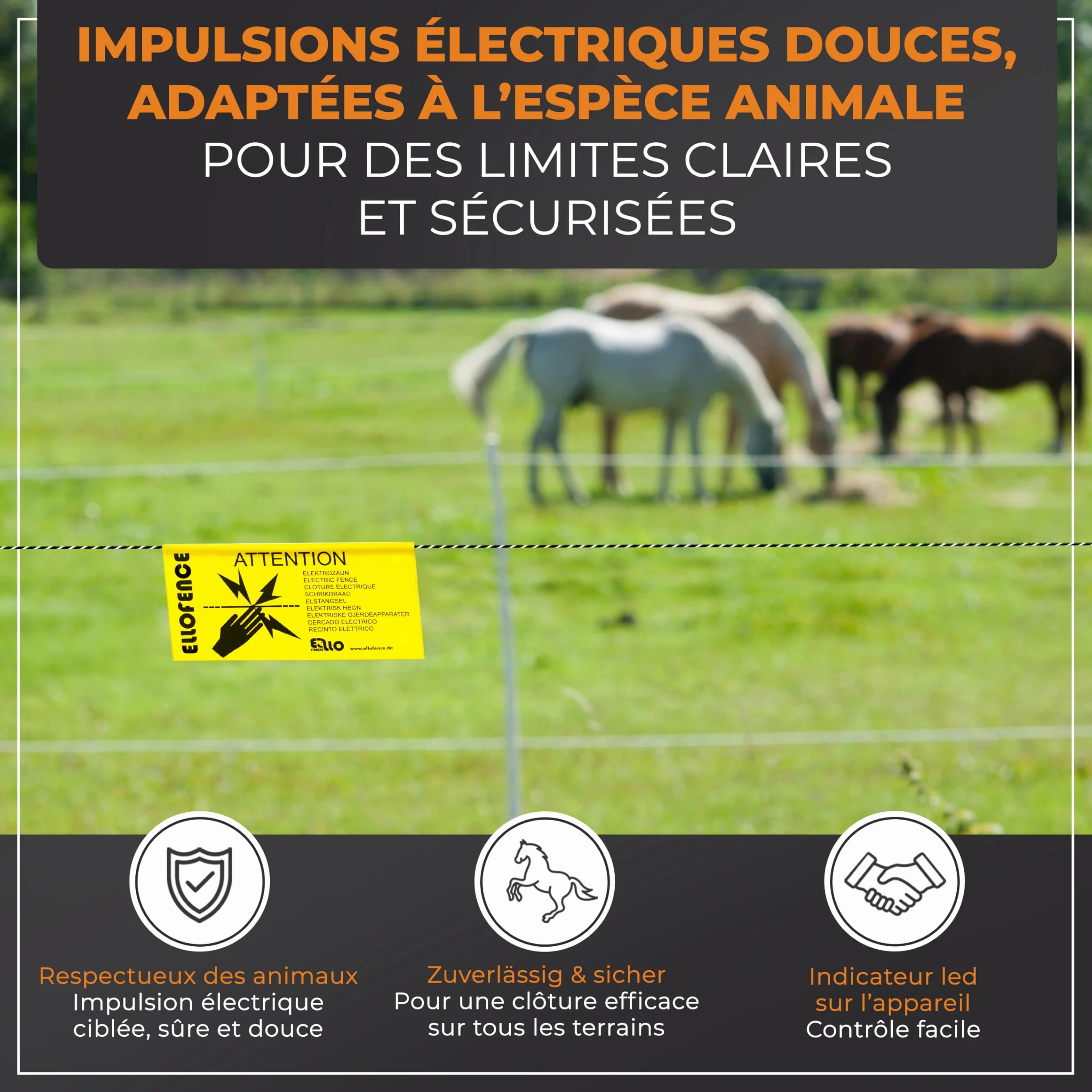 Électrificateur clôture électrique 230 V secteur M60 - Appareil premium pour animaux domestiques et d'élevage