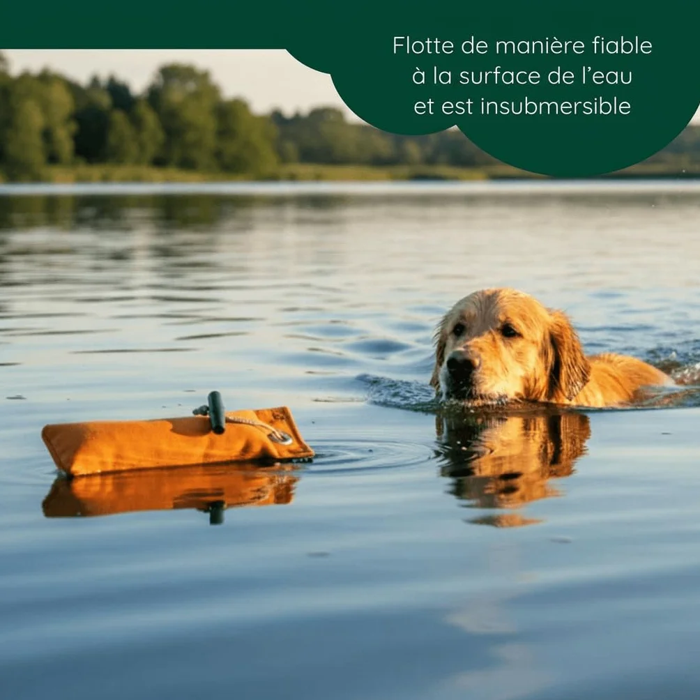Romneys Lot de 500 g standard pour chien flottant orange