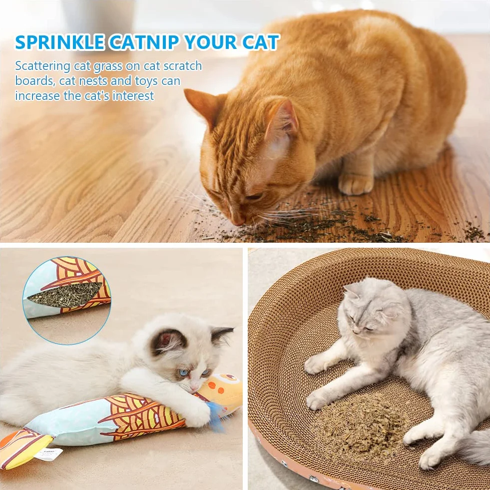 Herbe à Chat Naturelle 100g pour Chaton Stimulante Digestive