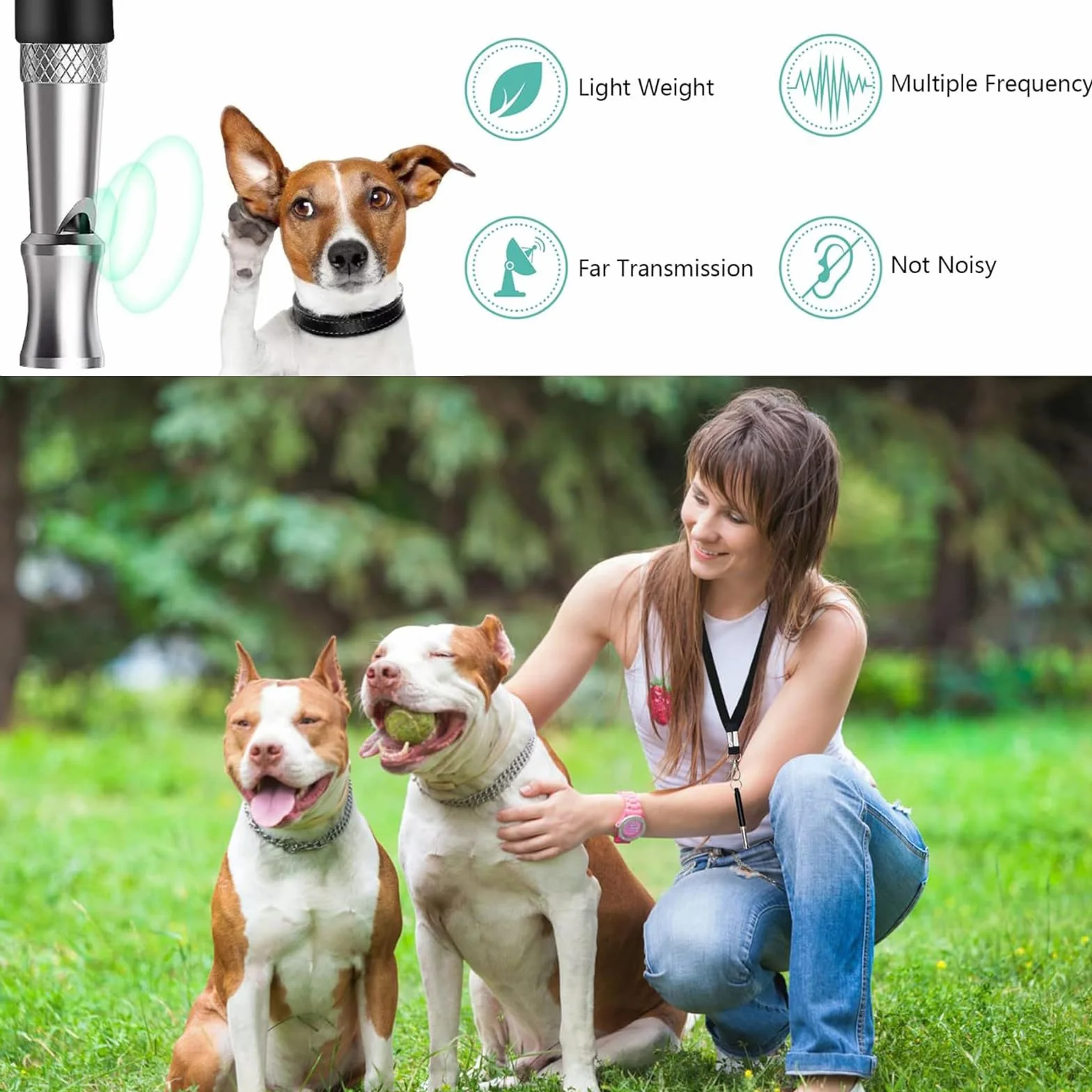 Sifflet Ultrason Chien Anti Aboiement avec 2 Longes, Fort et Longue Portée, Noir Blanc