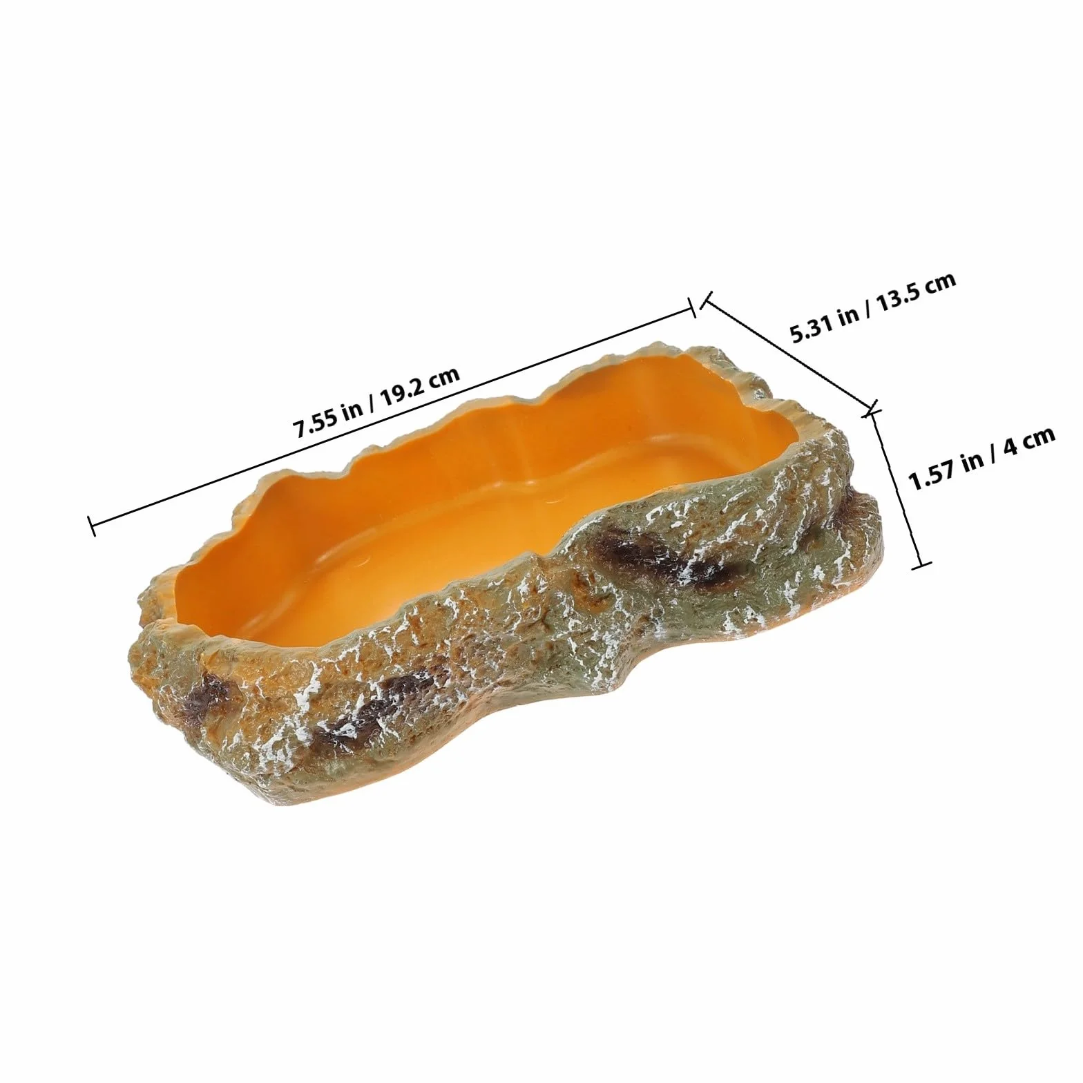 Bol Eau Reptiles Taille M Gamelle Nourriture pour Lézards et Tortues Accessoires Terrarium