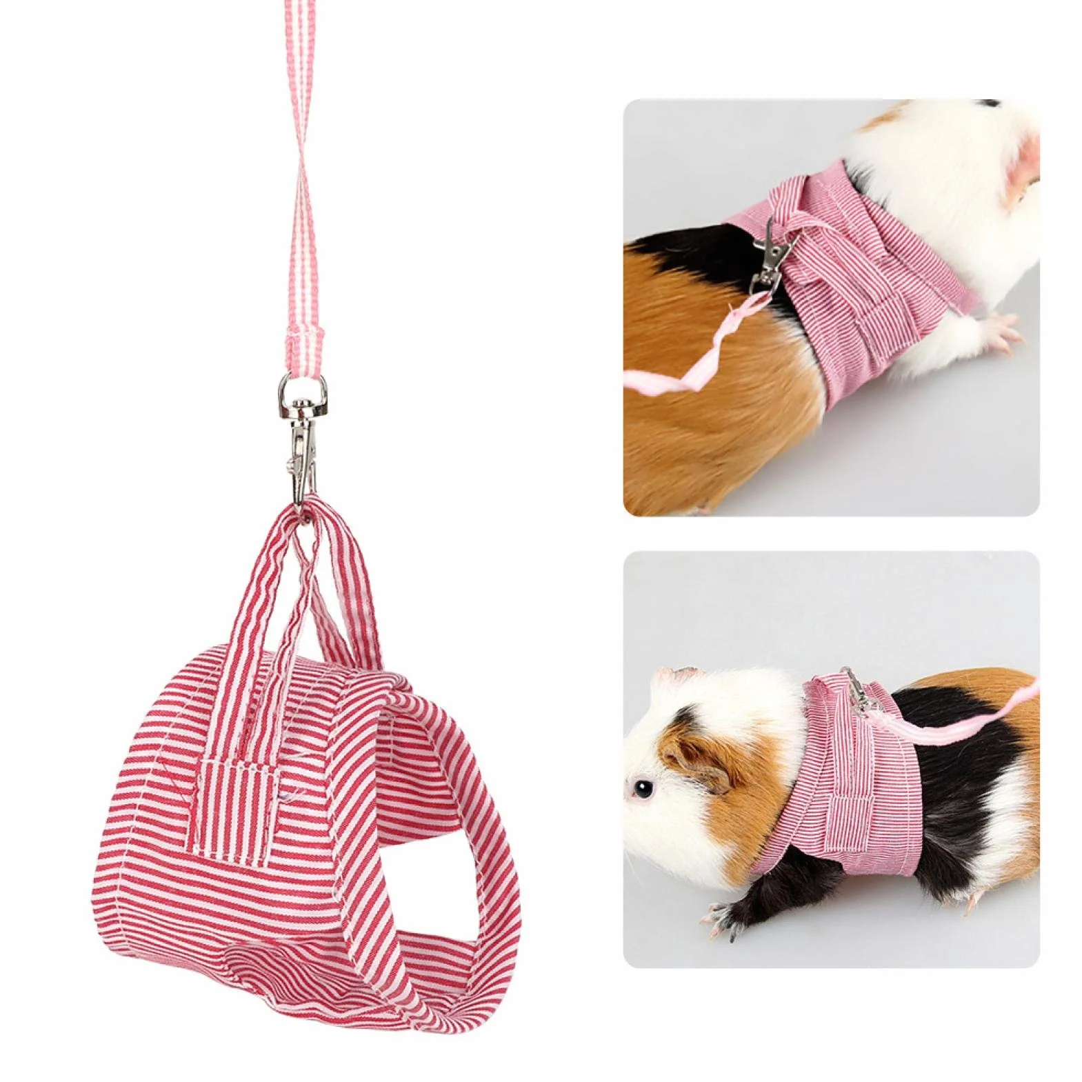 Harnais et Laisse pour Cochon d'Inde, Petits Animaux, Rouge, Taille S
