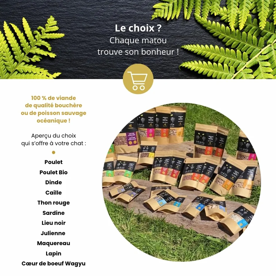 Croquette Barf Cuisse et Filet de Poulet hachés Lyophilisée pour Chaton