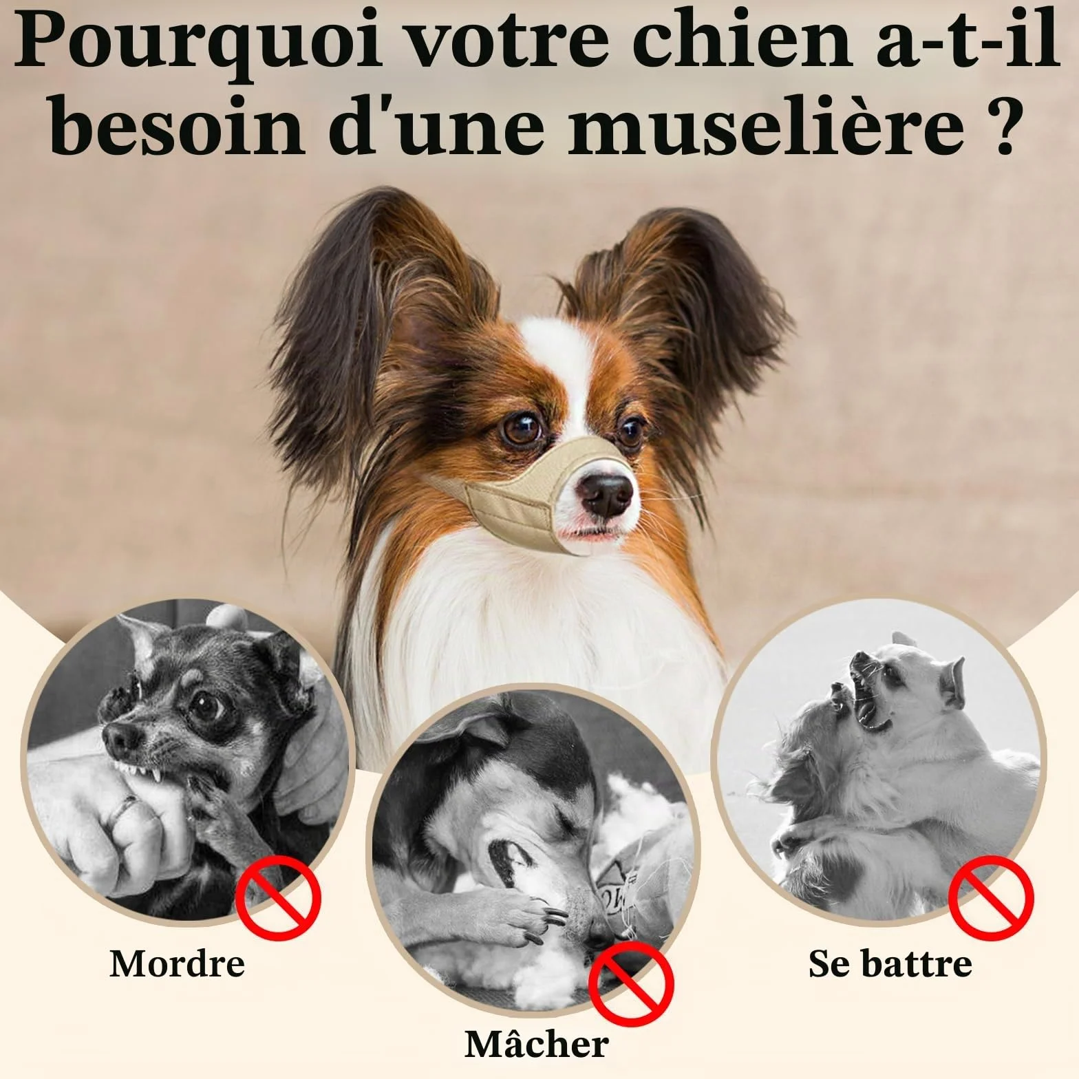 Mayerzon Muselière à museau Court pour Chihuahua, Shih tzu, Boxeur américain, muselière en Tissu Doux pour Le toilettage des visites vétérinaires, empêche Les morsures et Les Combats