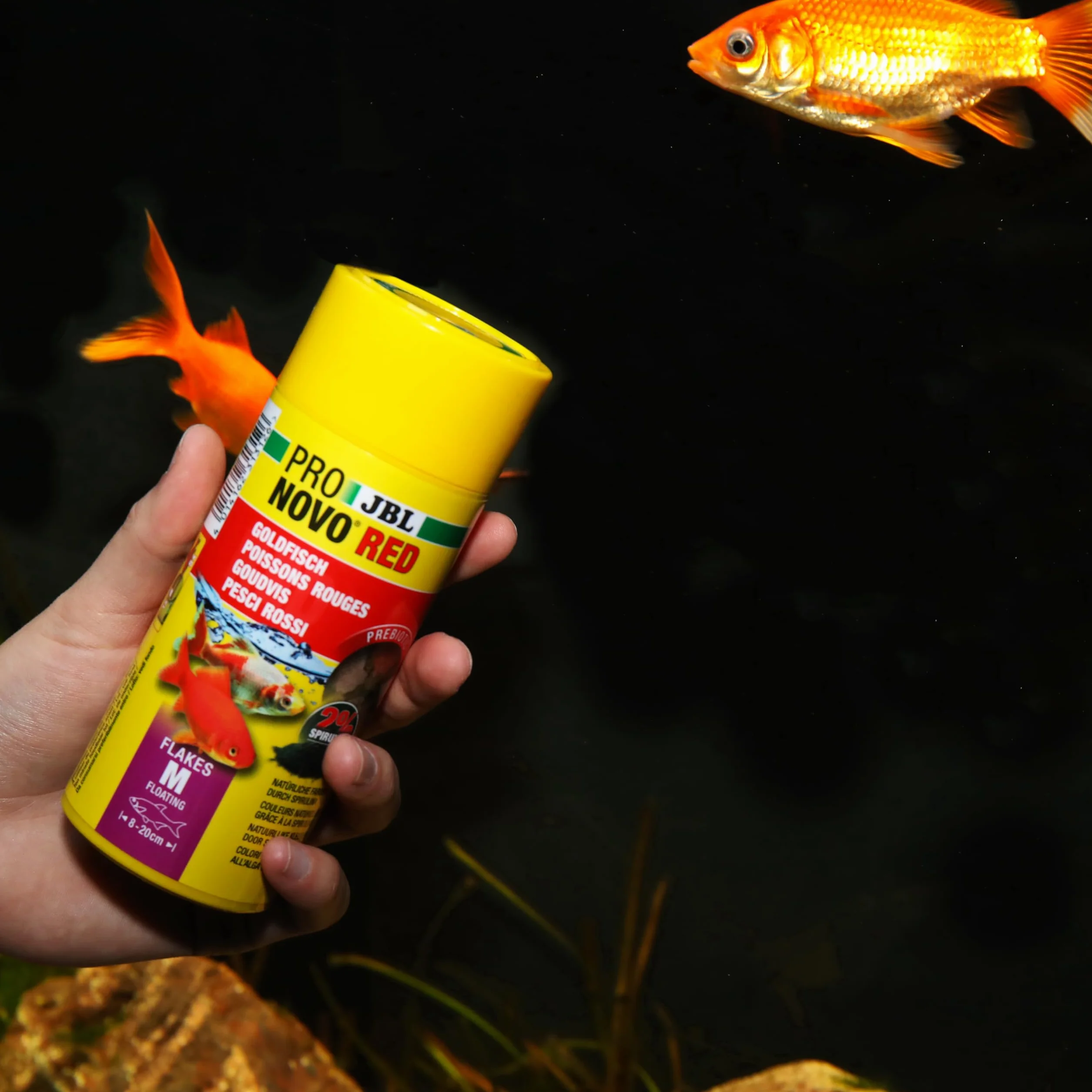 JBL PRONOVO RED FLAKES Aliment Base Poissons Rouges 8-20 cm Flocons taille M 250 ml