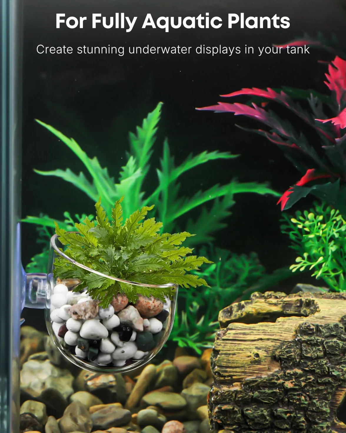 Pawfly Lot de 2 supports de plantes d'aquarium transparents en plastique avec ventouse