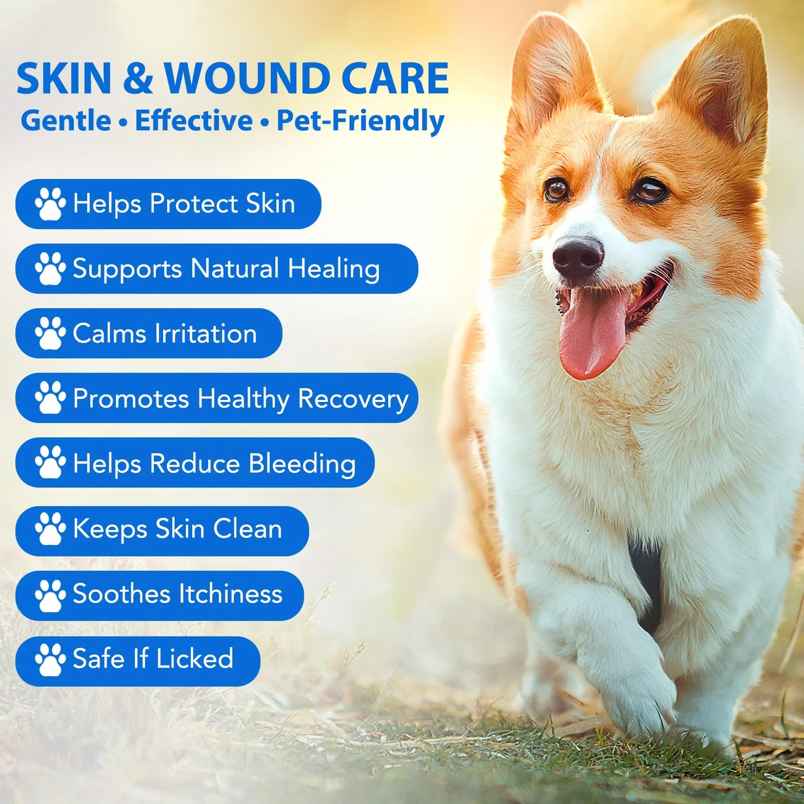 Spray Soin Plaies Chiens Chats 120 ml Anti Demangeaison Anti Allergie Infections Cutanées