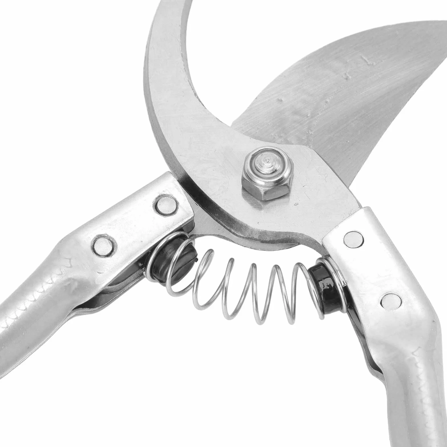 Cisailles ongles pour Moutons, Pince de Cisaillement Pig Trotter avec Ressort Forte Outil Réparation Ongles Animaux Argent