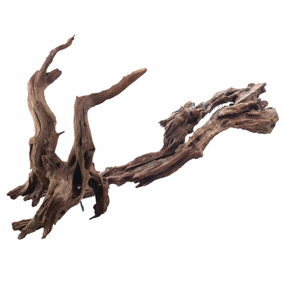 Amtra Bois d'ikebana 20-30 cm pour aquarium fait main