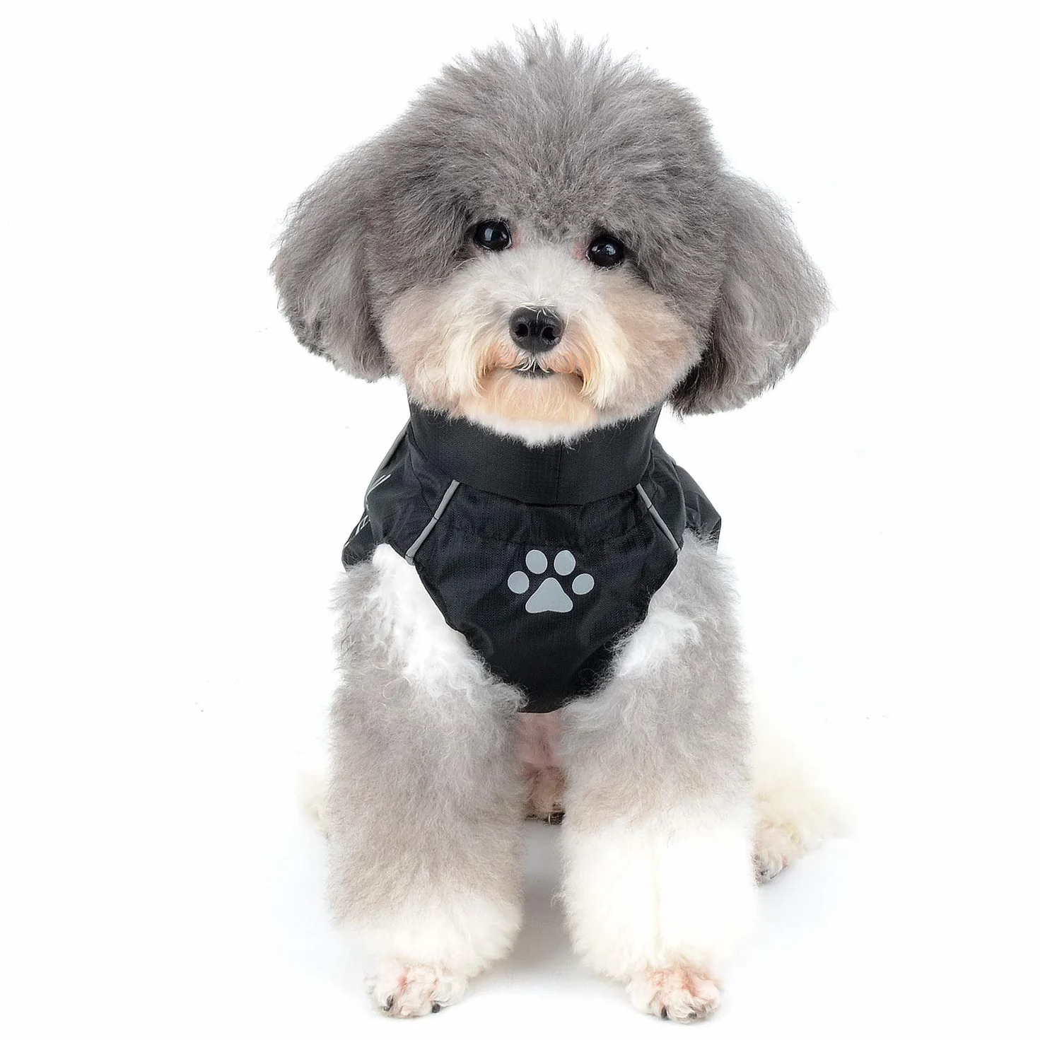 Manteau Imperméable Réfléchissant pour Chien Chat Veste Sécurité Coupe-Vent Légère Vert M