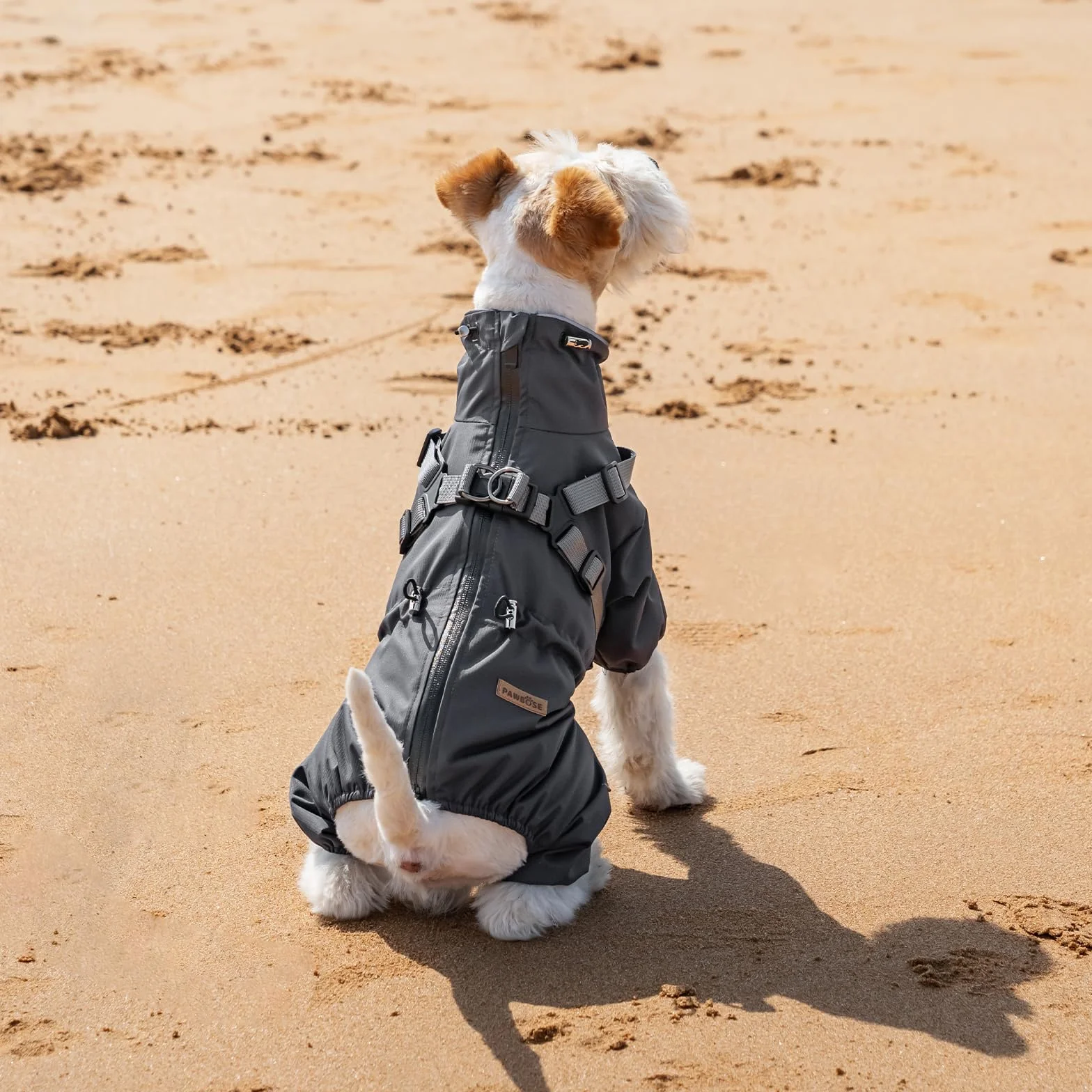 PAWBOSE Imperméable Chien Réfléchissant Harnais 4 Jambes Taille M Gris