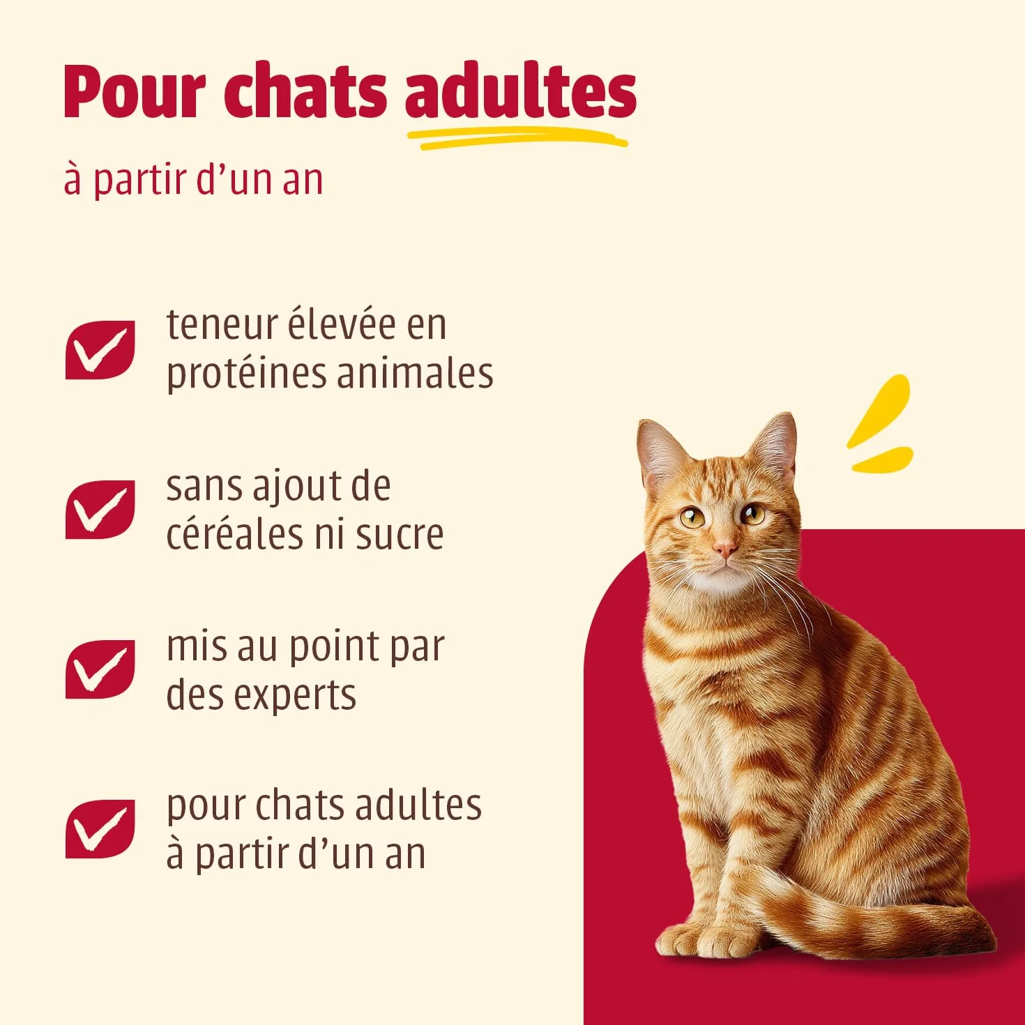 Carny Lot de 6 boîtes de pâtée pour Chat 200 g - Mélange de volaille sans céréales