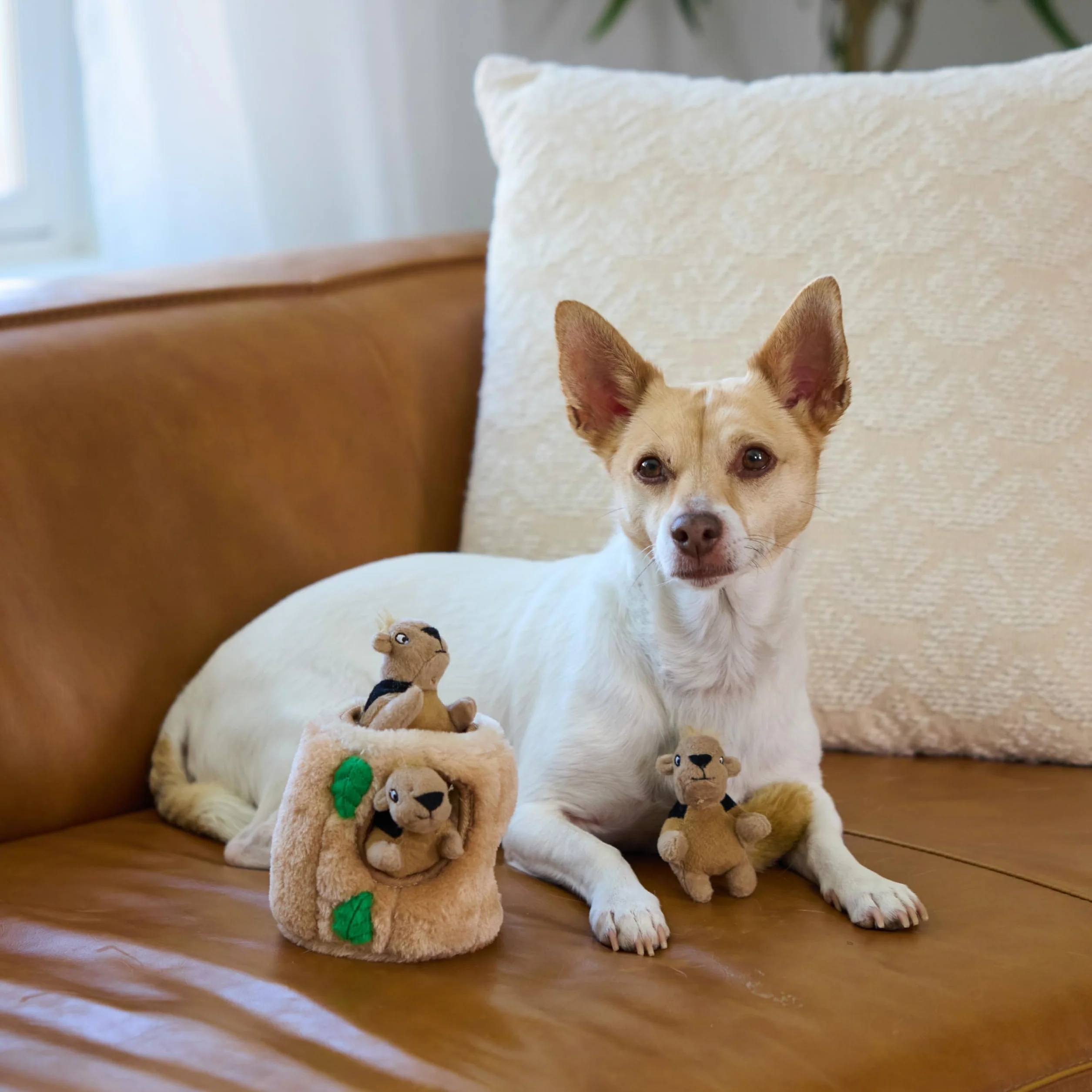 Outward Hound Casse tête pour Chiens Cache-Cache Ecureuil en Peluches Petit format