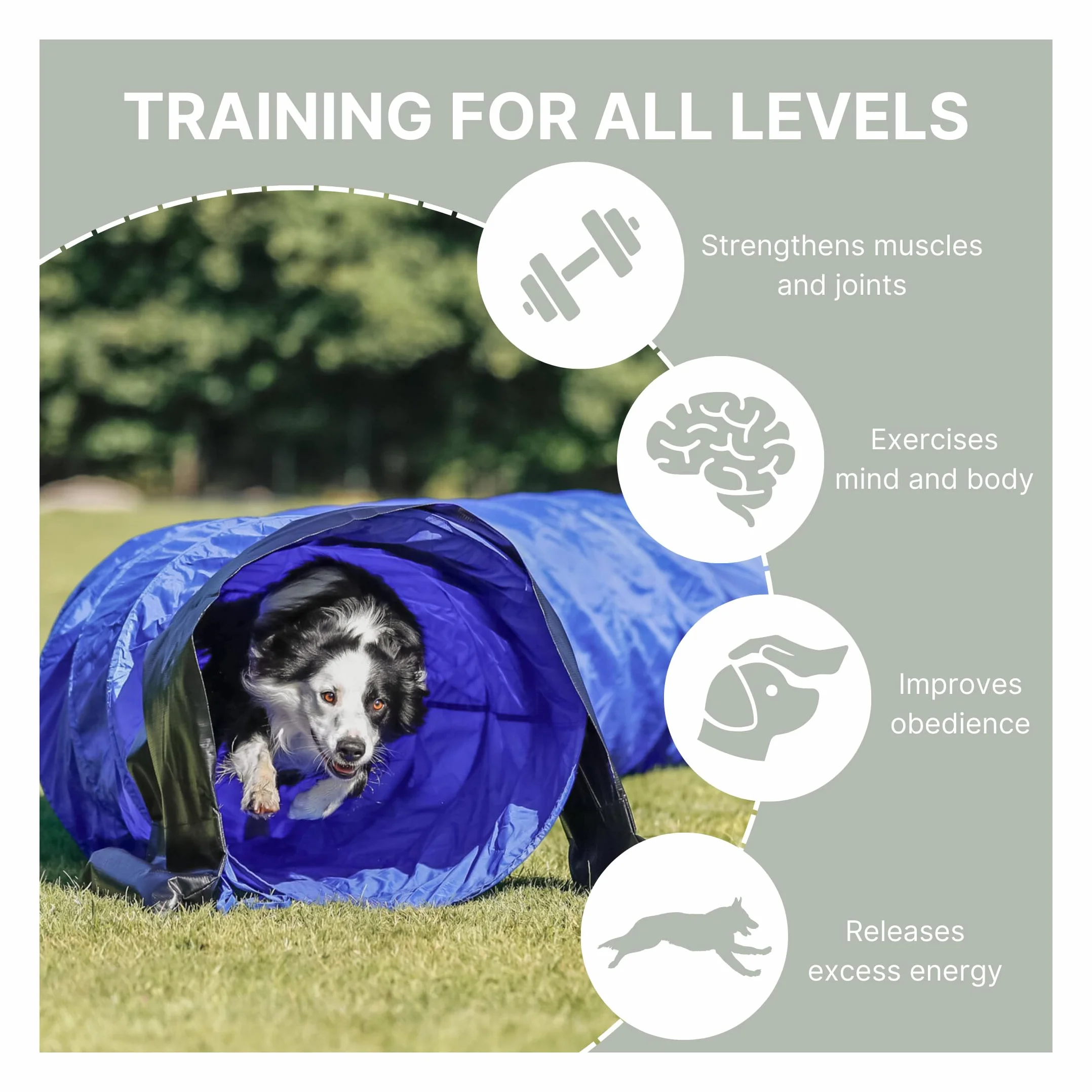 TRIXIE tunnel d'agility pour chien ø 60 cm/5 m avec sac de transport