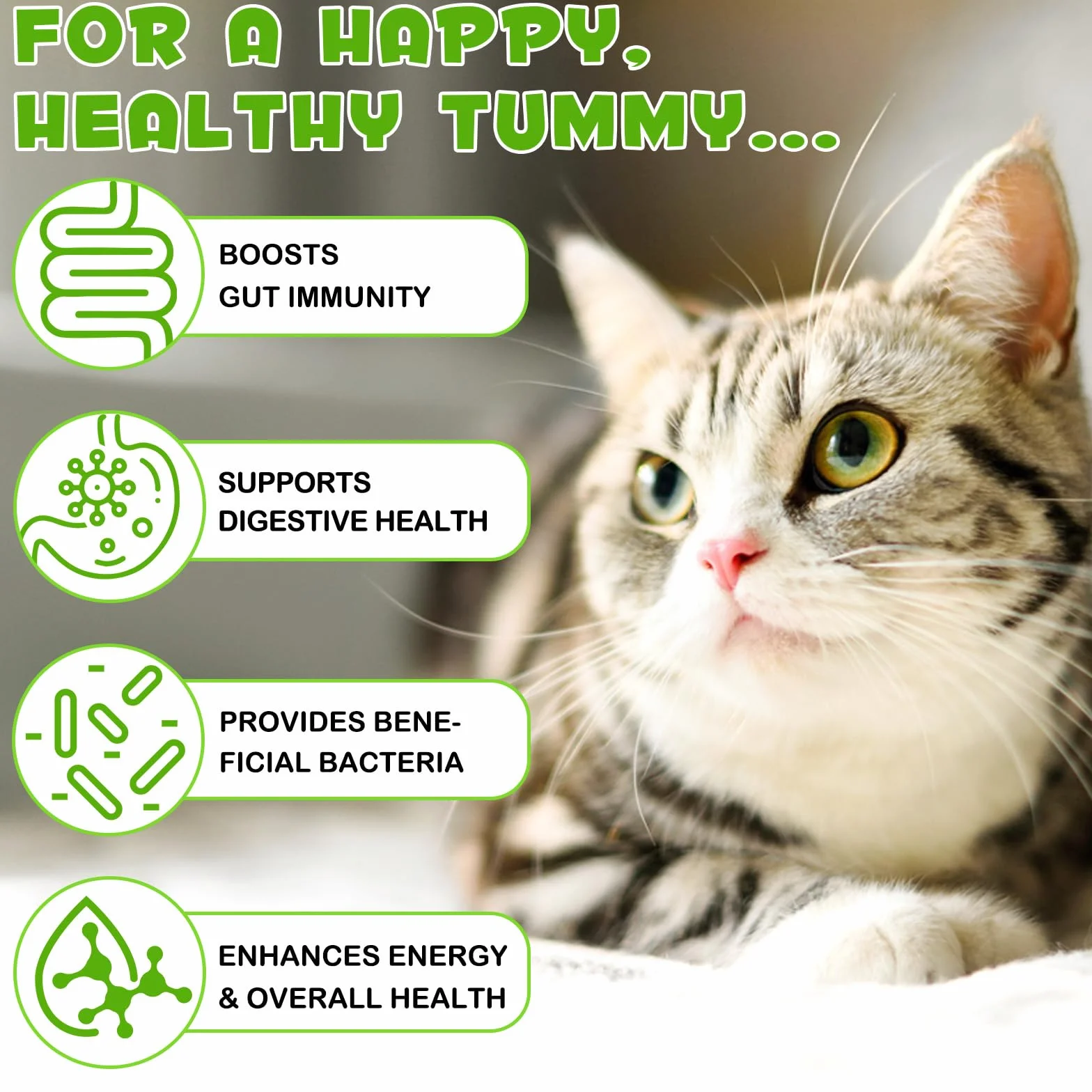 Probiotiques pour chats 3 en 1 60 ml avec enzymes digestives santé intestinale chatons adultes