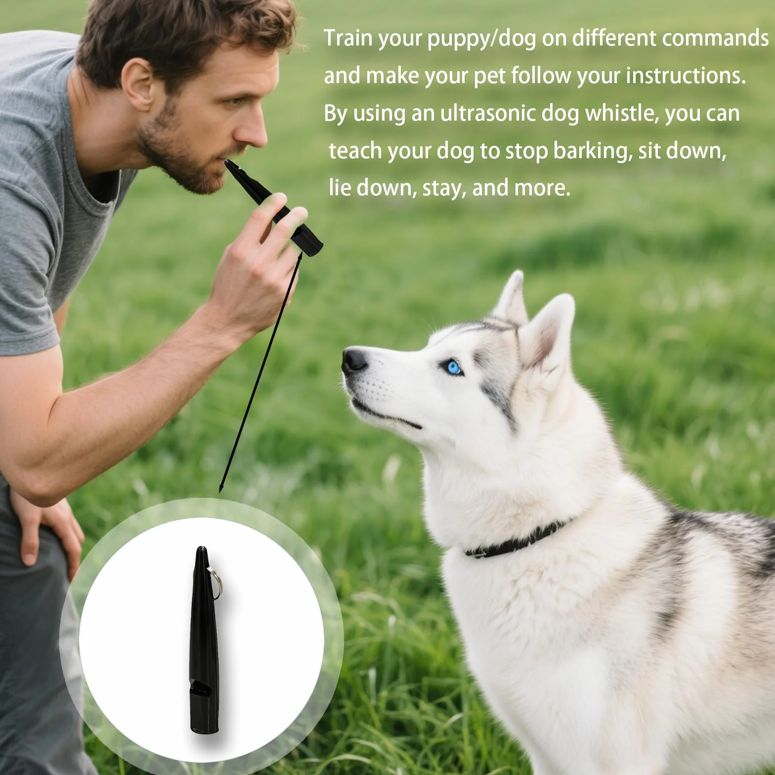 Sifflet Chien Rappel Professionnel, Sifflet Pour Chien, Idéal Pour Le Rappel, Outil D’Éducation Canine Multifonction, Outil De Dressage De Haute Qualité Pour L'Éducation Canine, 1PCS Noir