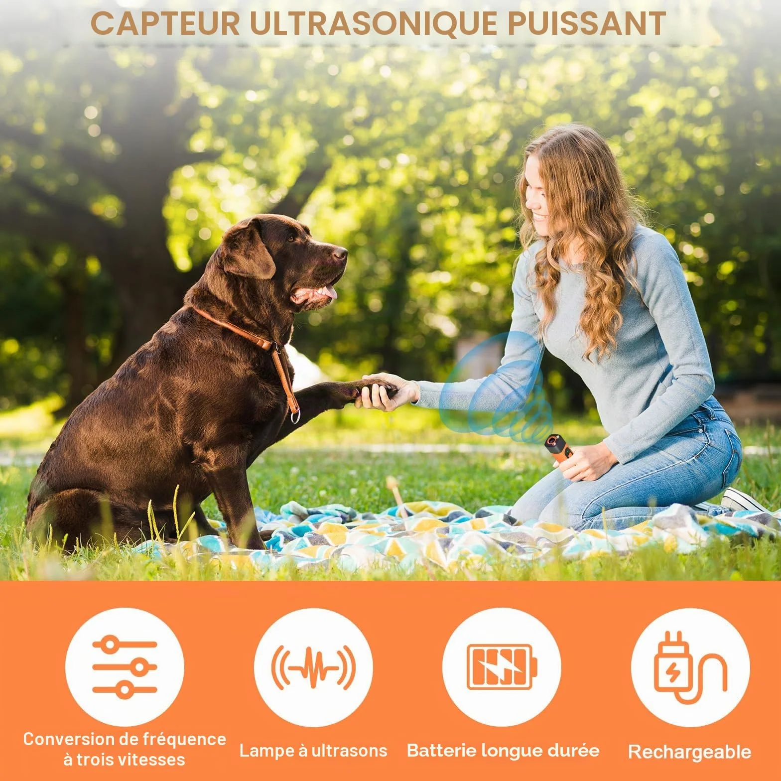 Dispositif Anti-Aboiement Ultrason Rechargeable pour Chiens, 3 Fréquences Réglables