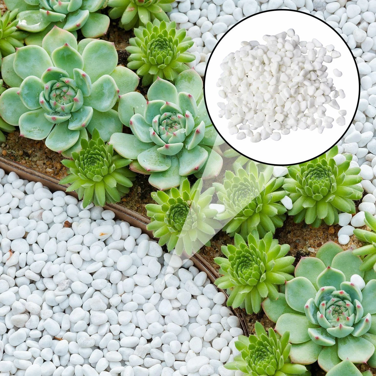 Pierres Décoratives Blanches pour Vase et Aquarium (160g, Lot de 2)
