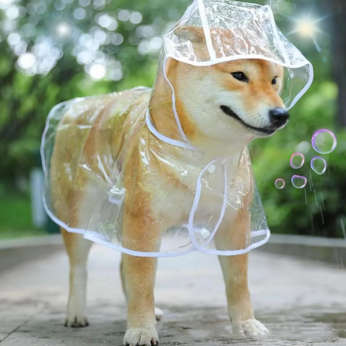 Poncho de Pluie en PVC Transparent Imperméable pour Chien, Taille 52 cm