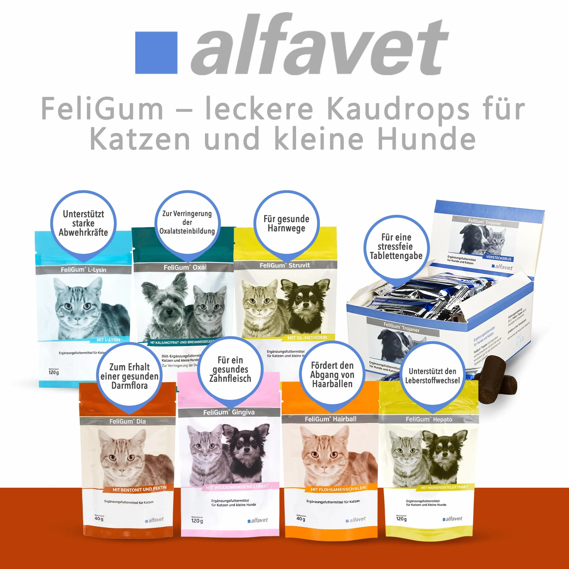 Alfavet FeliGum Dia complément alimentaire diarrhée chats pastilles à mâcher 40 g