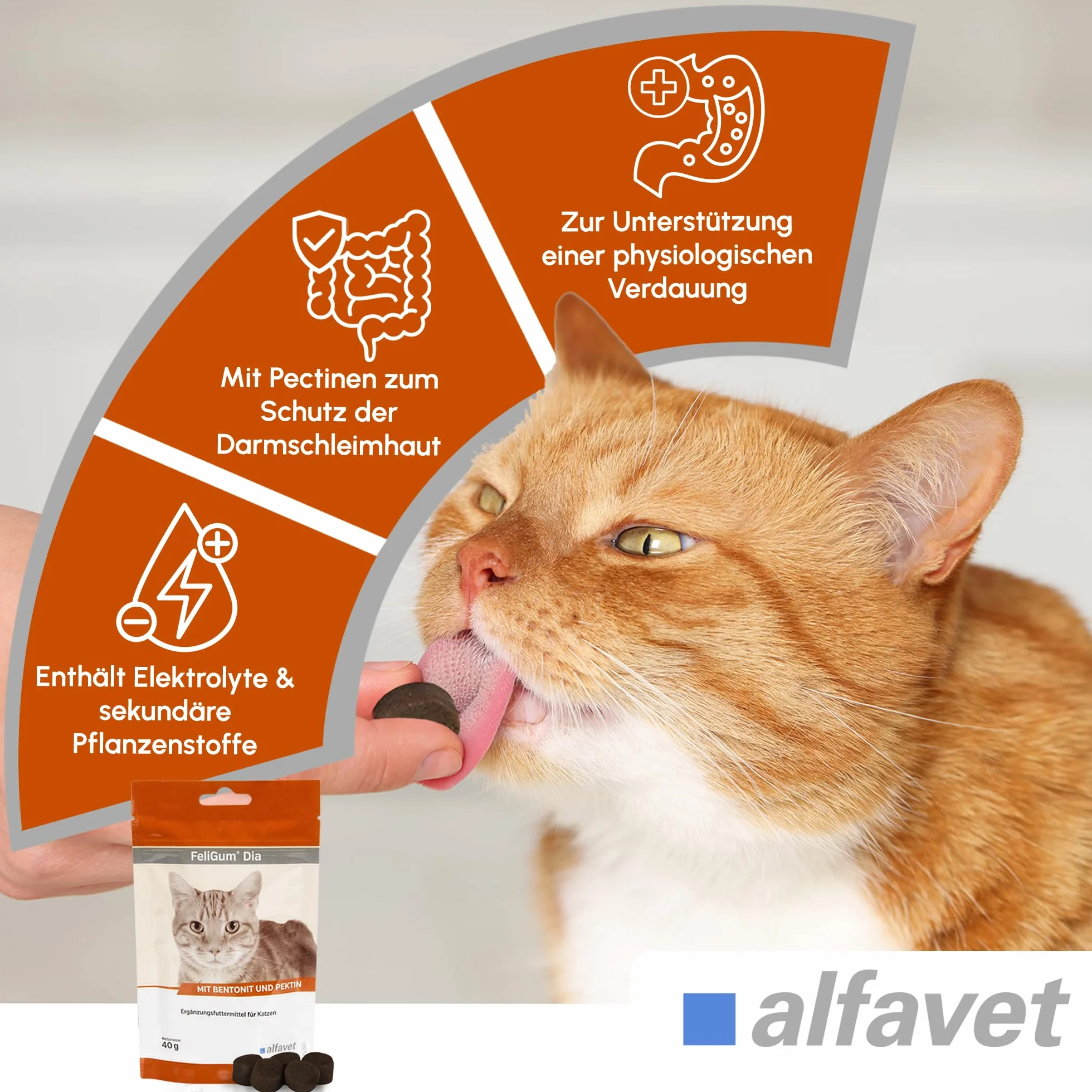Alfavet FeliGum Dia complément alimentaire diarrhée chats pastilles à mâcher 40 g
