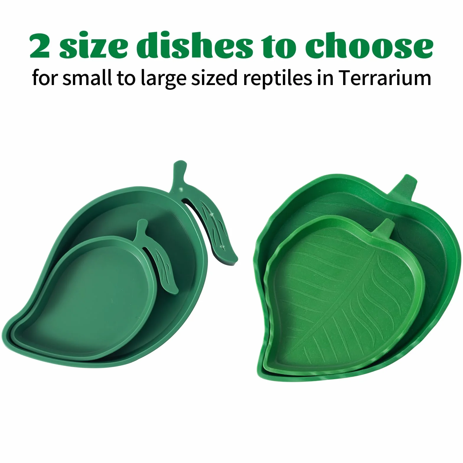 Plat Forme de Mangue et Feuille Bols Nourriture Plastiques pour Reptiles Lézards Escargots Facile à Nettoyer, 4 Tailles
