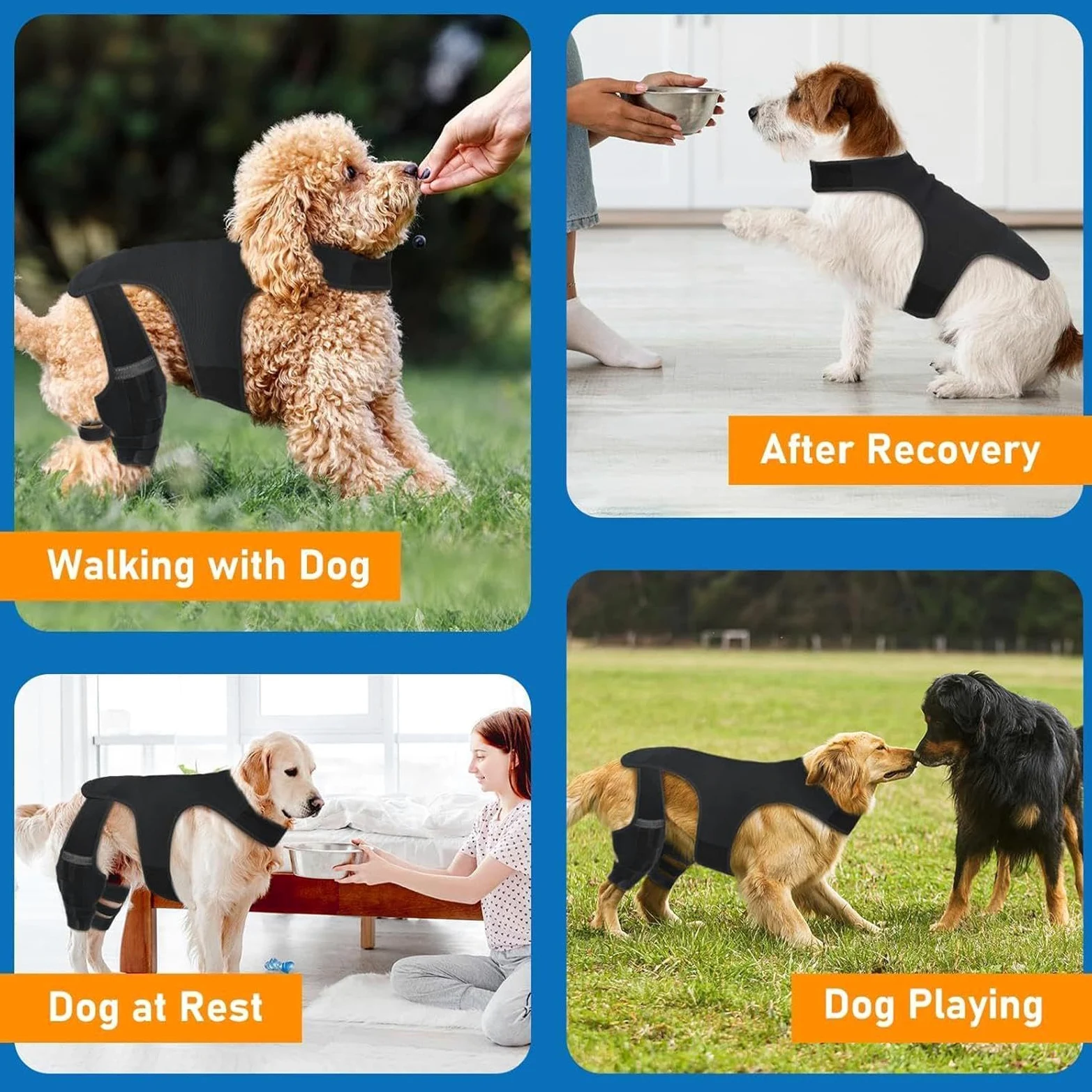 Genouillère Pour Chien Bandage Articulaire Réglable | Avec 4 Stabilisateurs Métalliques Support Pour Patte Arrière Pour Randonnée Exercice Activités Extérieures Parc Plage