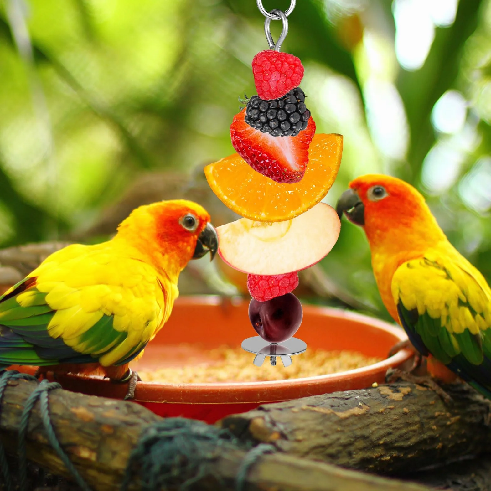 Mangeoire à Fruits pour Oiseaux, Acier Inoxydable Brochette avec Crochet, Jouets de Recherche de Nourriture pour Perruche Ara Perroquet