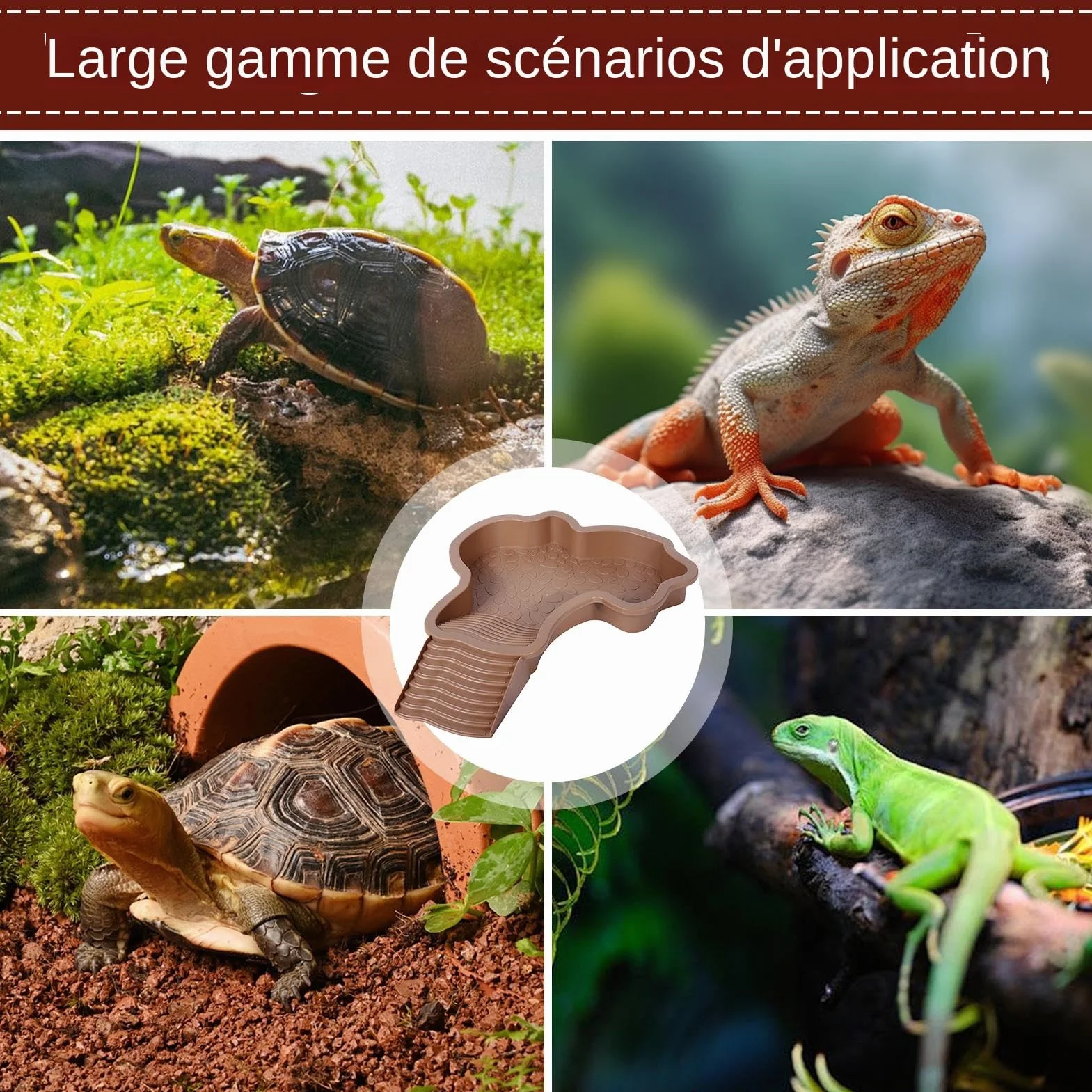 Mangeoire Tortue Piscine 35x28,5x4,3 cm Baignoire Reptiles Bassin de Bain