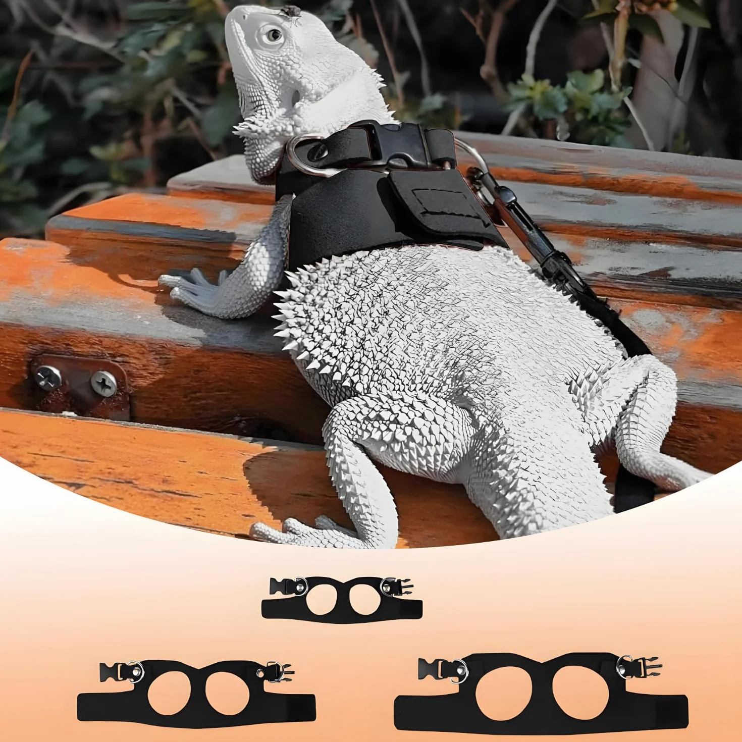3 Pièces Cochon d'Inde Harnais, Ajustable Dragon Barbu Harnais Laisse, Laisse Réglable Lézard, Ensemble Dragon Barbu, pour Reptiles, Lézards Et Caméléons (Noir)