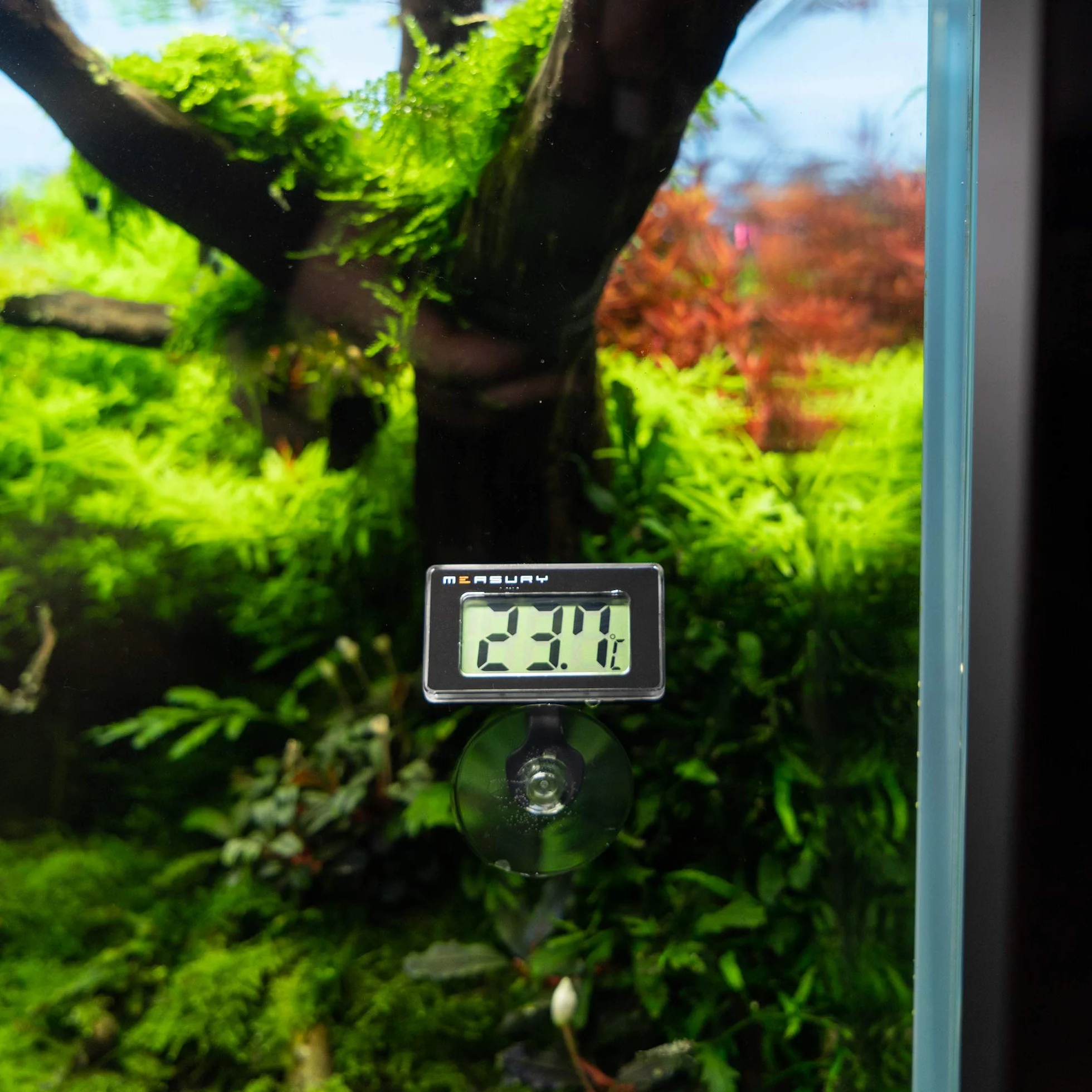 Measury Thermometre Aquarium Digital TM10 Eau Douce Eau de Mer Thermomètre