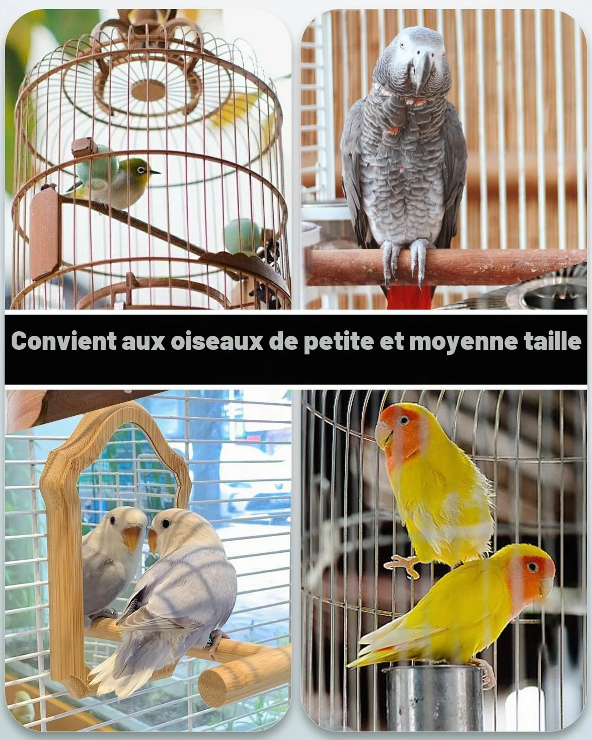 Pawfly 2 Pcs Distributeur d'eau Automatique pour Oiseaux, Mangeoire à Eau Automatique pour Oiseaux, Accessoires de Cage pour Perroquet & Hamster, Distributeur d'eau Blanc et Bleu pour Perruche