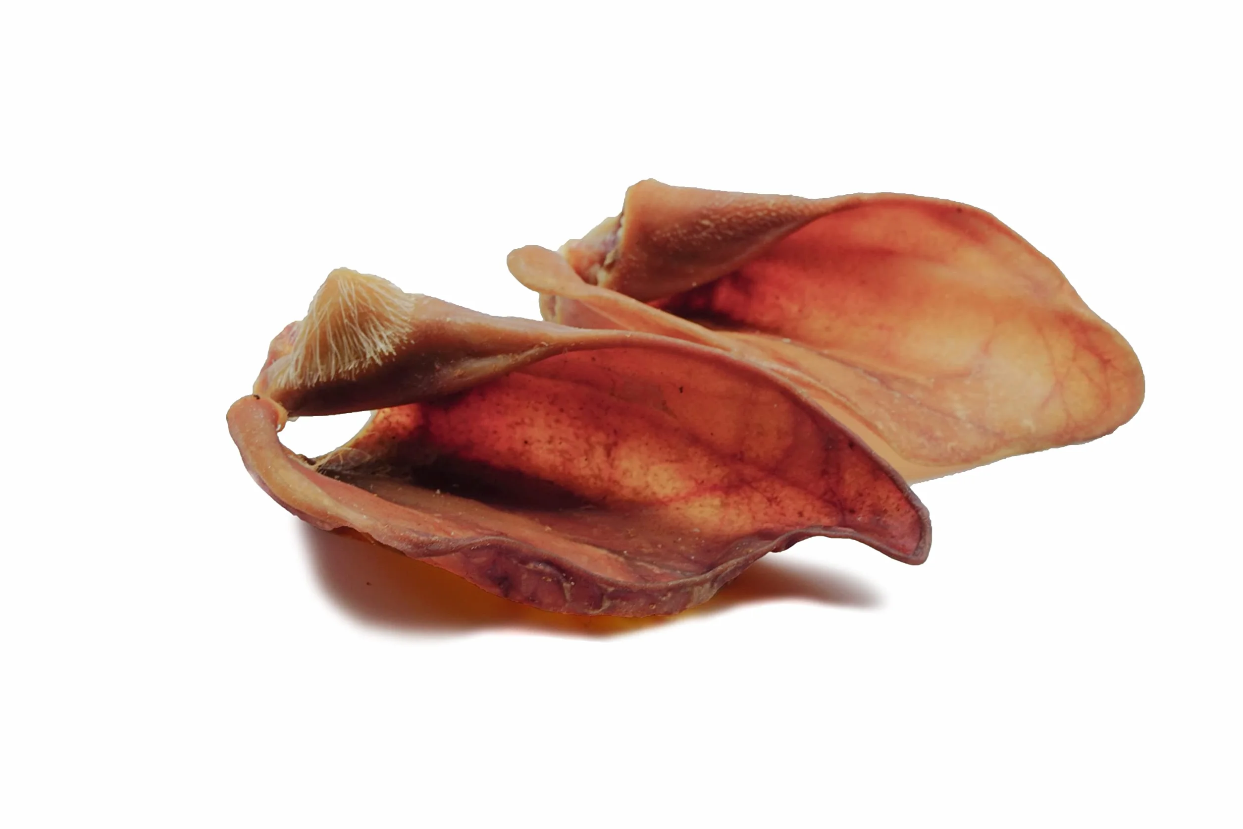Oreilles de porc séchées naturelles pour chiens – 100 % pur plaisir de mastication, séchage à l'air libre, sans additifs – Friandise idéale pour le nettoyage des dents (100 pièces)