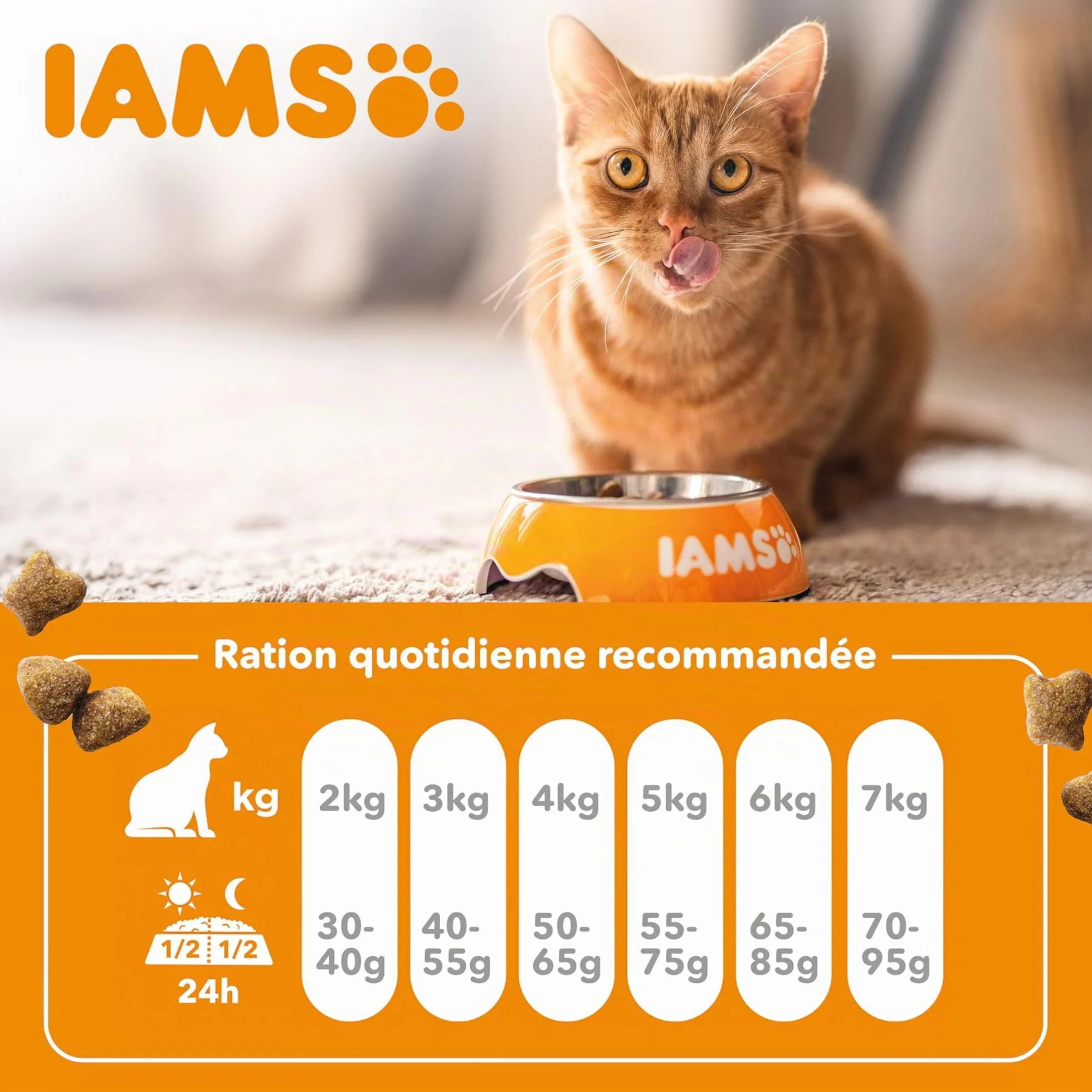 IAMS Advanced Nutrition Chat Adulte Digestion Sensible Alimentation sèche à la Dinde 10kg