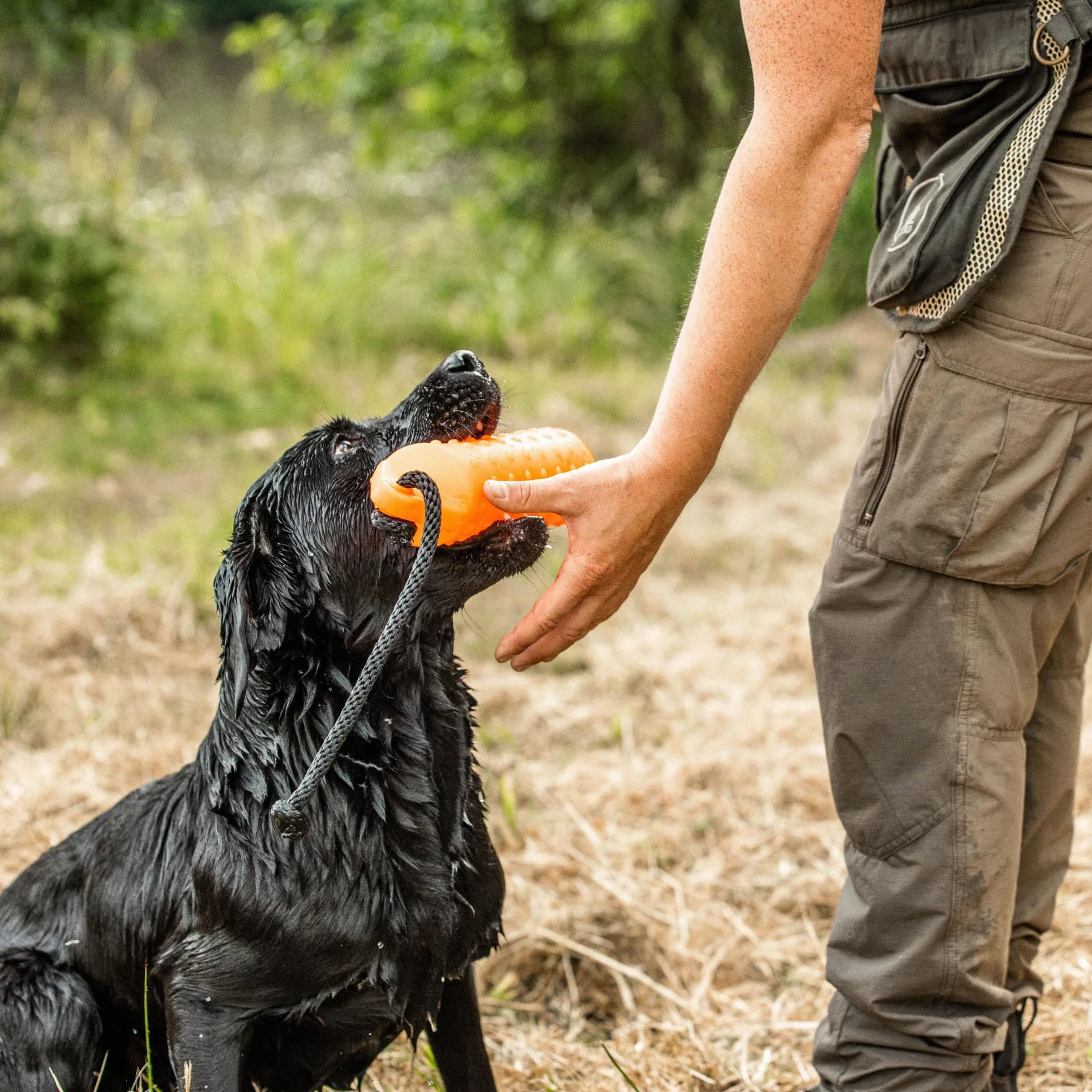 Dog & Field Gundog Water Dummy Jouet flottant pour chien avec cordon de lancement Orange Grande taille