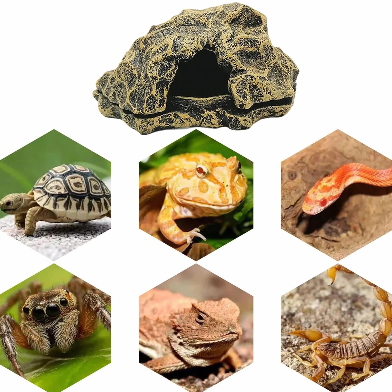 Caverne pour Reptiles Maison de Tortue en Roche Simulation pour Lézards Décor Aquarium Accessoires