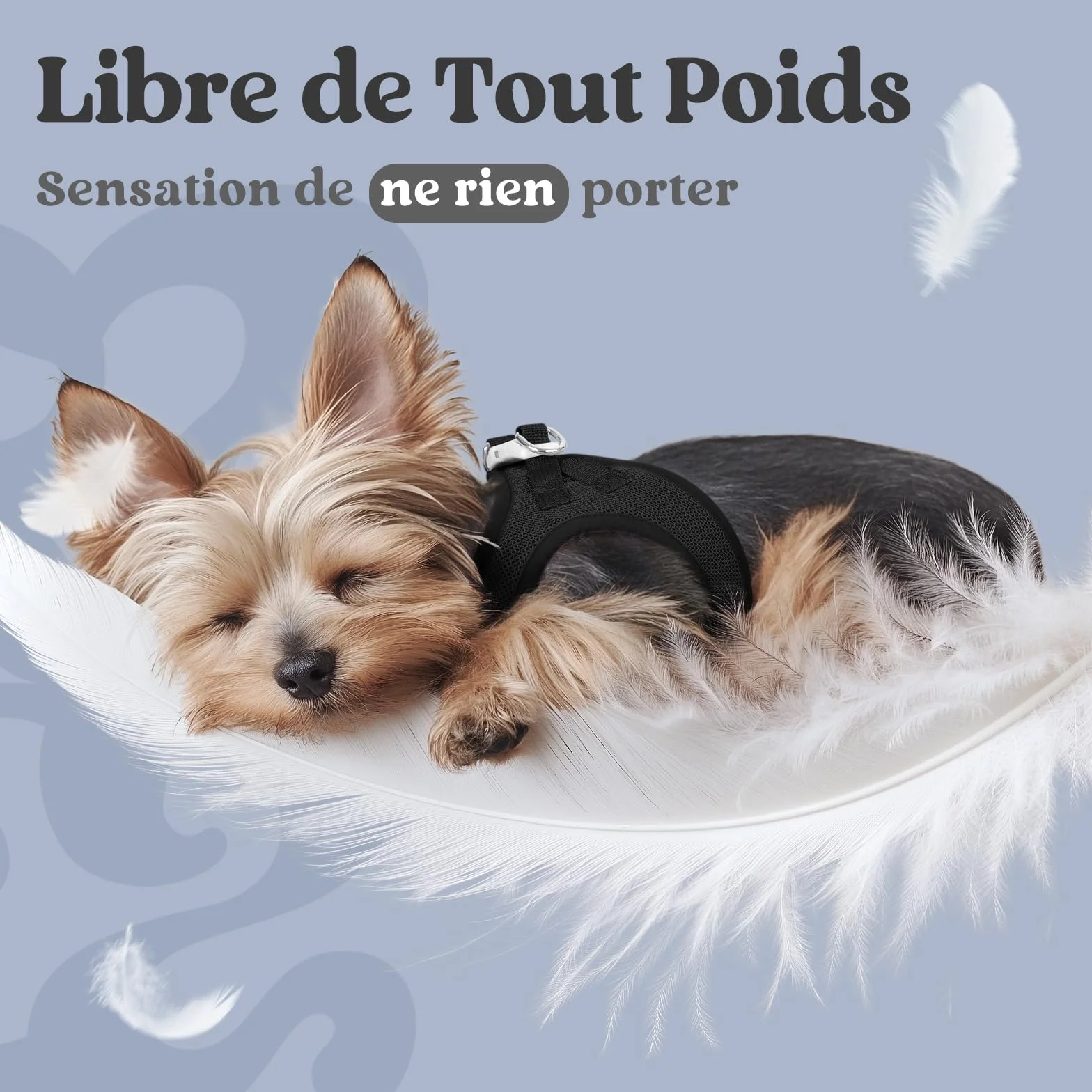 Rabbitgoo Harnais Chien Petite Taille Noir S, Harnais Respirant en Maille Souple Réfléchissant pour Petit Chien Marche Course