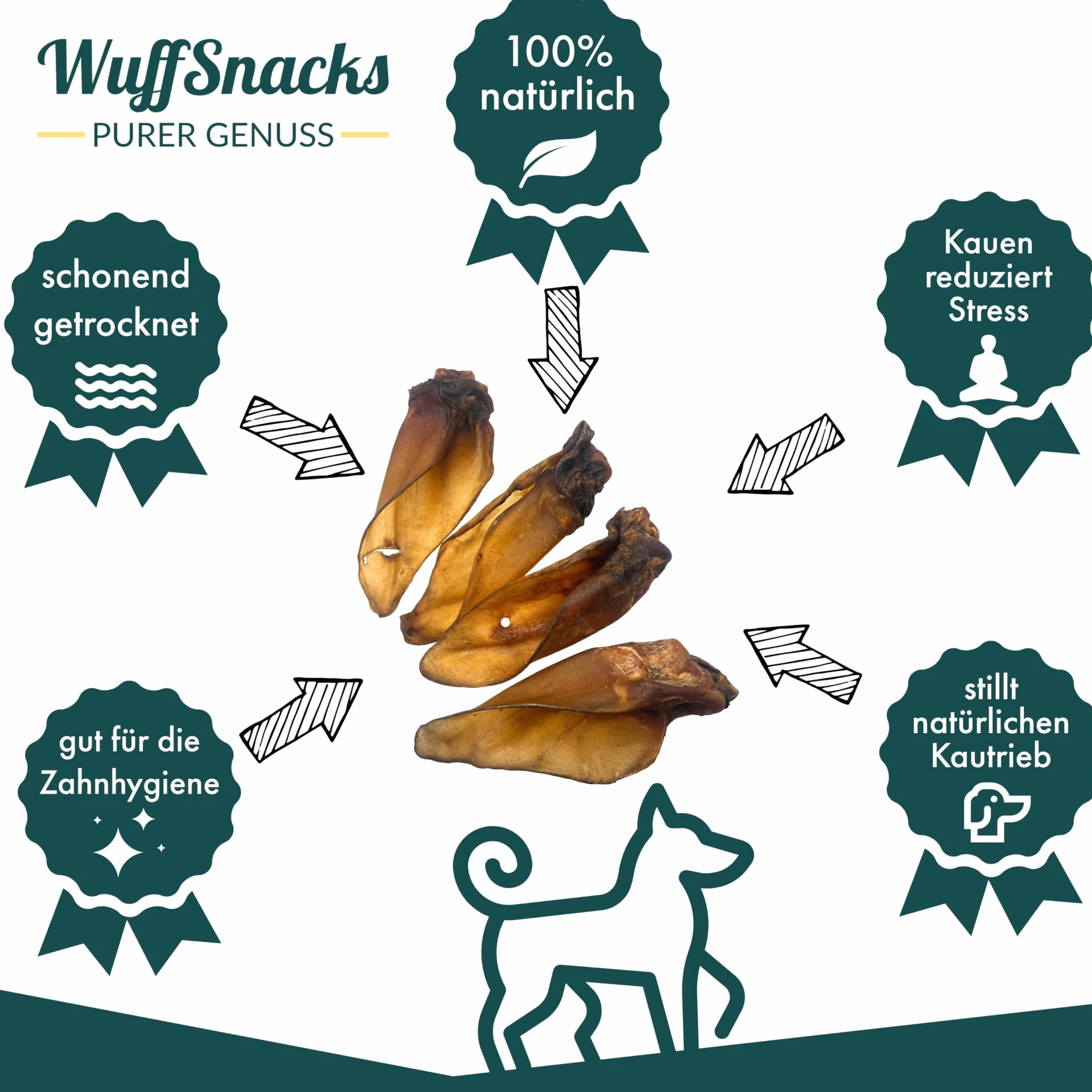 Wuffsnacks oreilles de bœuf avec coquillage pour chiens naturelles 50 pièces