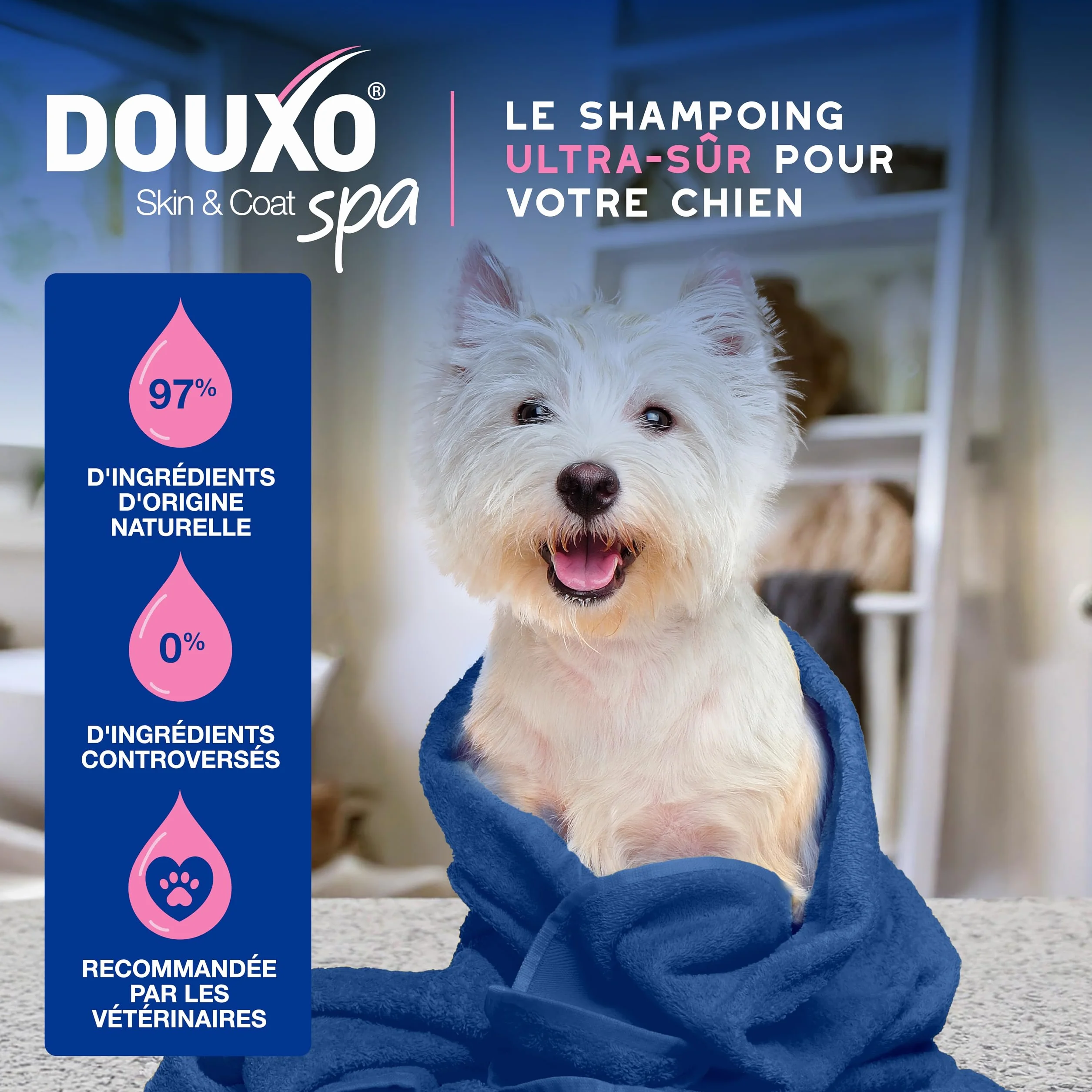 DOUXO Skin & Coat Spa - Ultra-Safe Shampoing Anti-démangeaisons pour Chien, 250mL, Nettoie et apaise la Peau, Laisse Le Pelage Doux et éclatant, Formule respectueuse de la Peau.