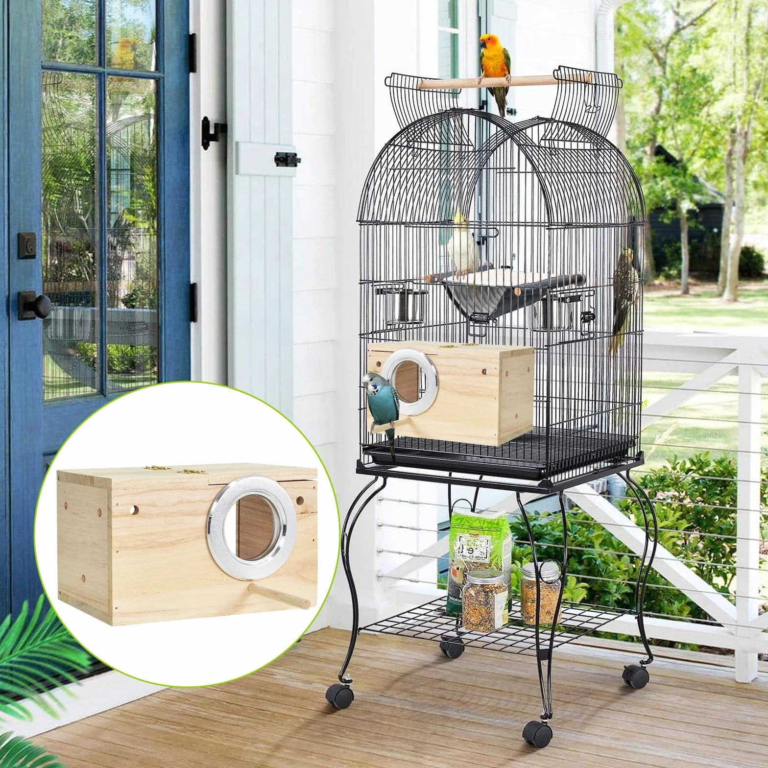 Nichoir transparent en bois naturel pour perruches, inséparables et pinsons