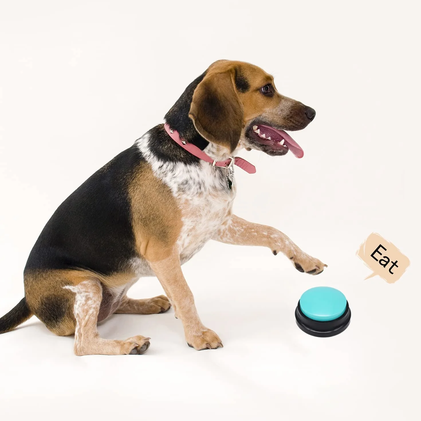 Lot de 6 boutons d'enregistrement vocal, boutons pour chien pour la communication et le dressage des animaux de compagnie, enregistrement et lecture de 30 secondes, bureau, maison
