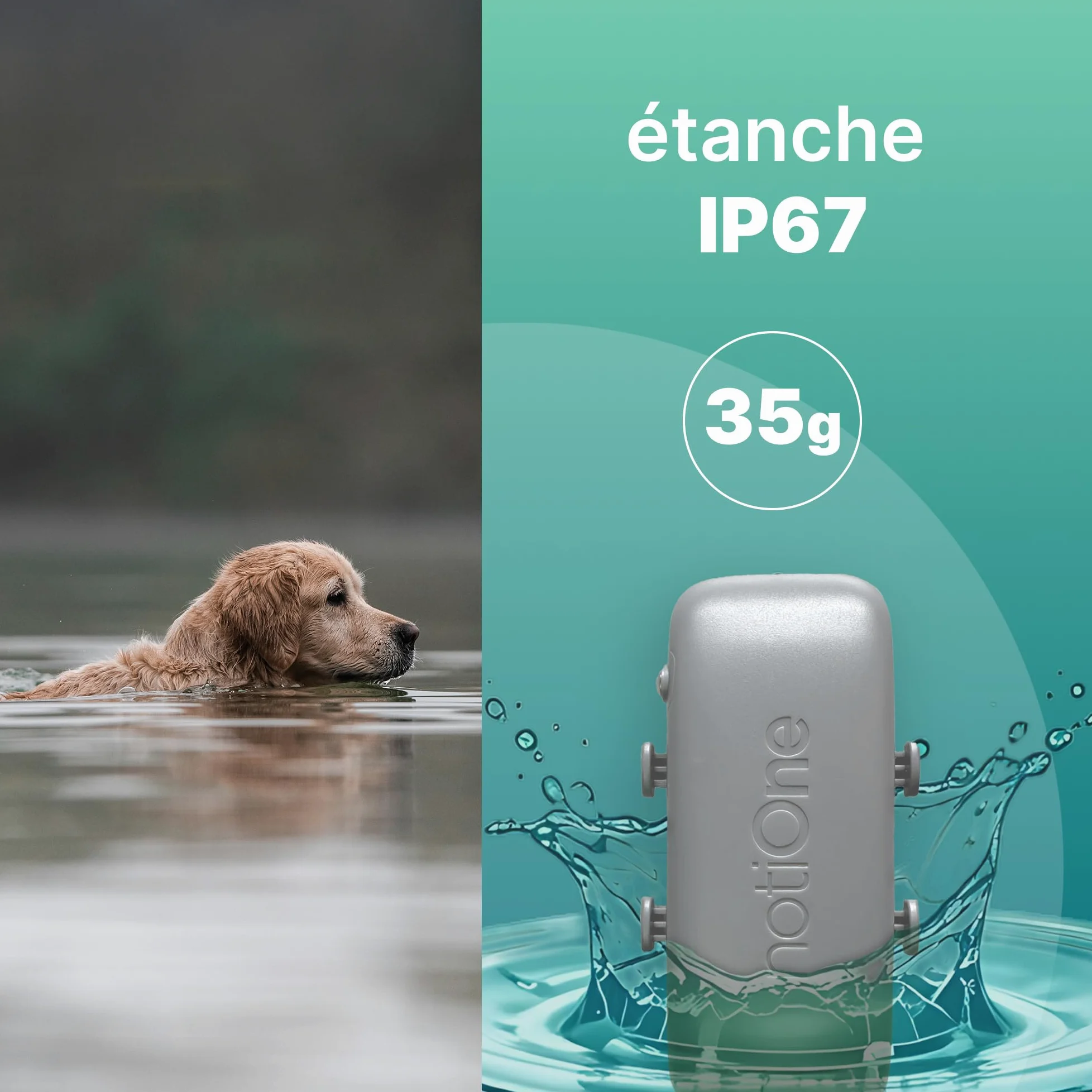 Traceur GPS Pet Basic pour Animaux sans Abonnement | Mini Traceur Chien & Chat, Étanche Collier GPS - Fonctionne dans Un Pays Européen au Choix